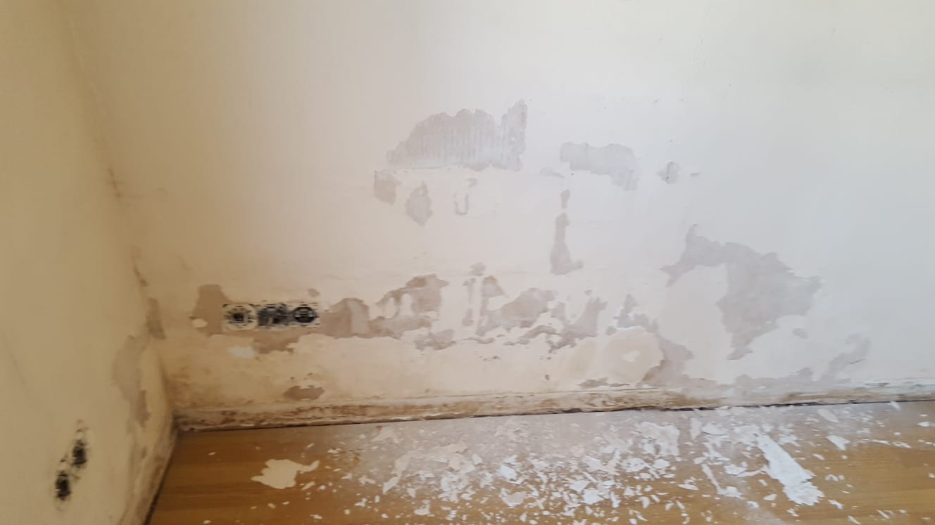 HUMEDAD EN REPARACIÓN