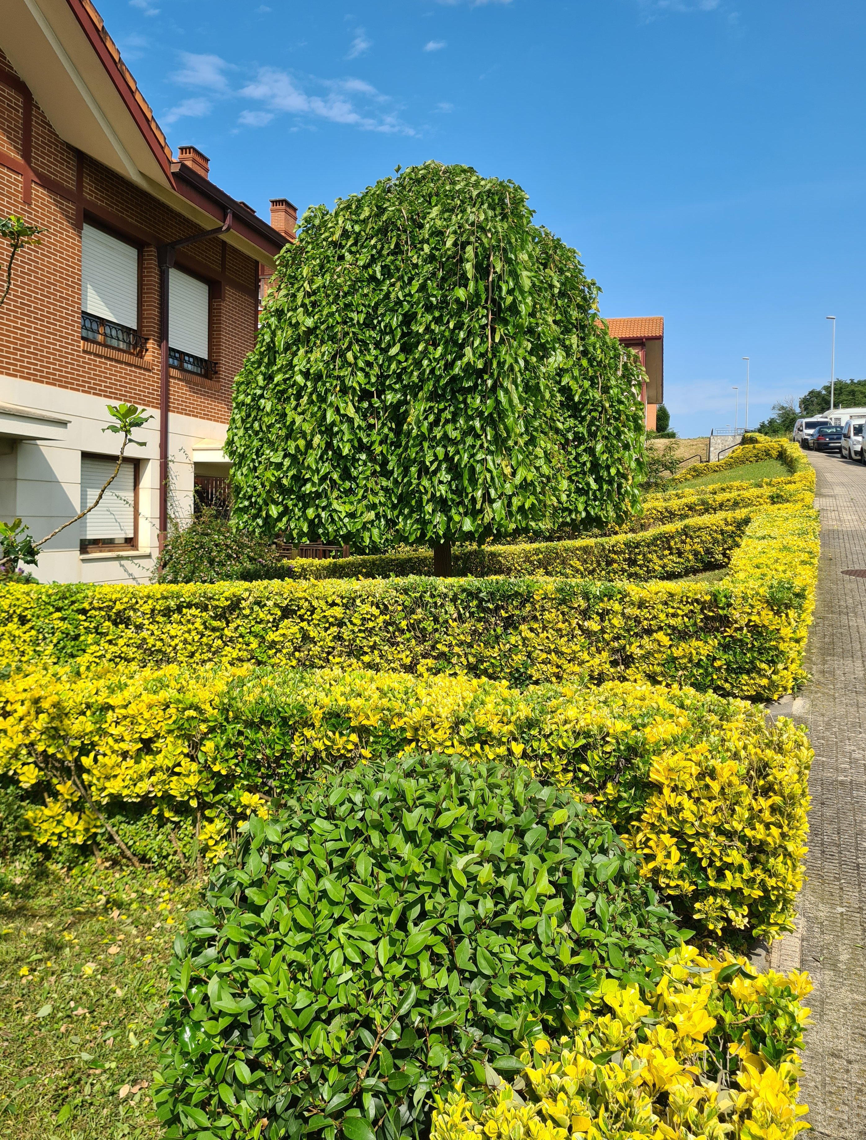 Mantenimuiento de Ubanizaciones privadas