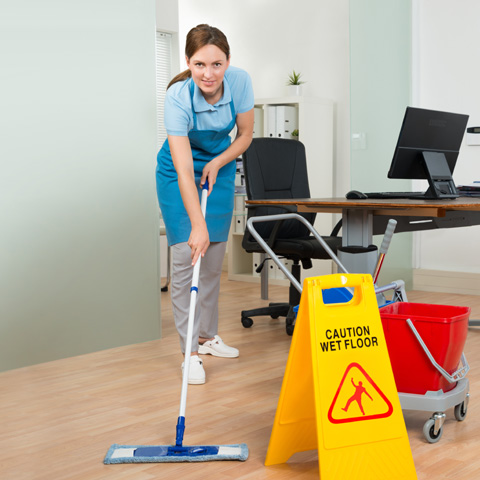 Trabajadores profesionales y con experiencia