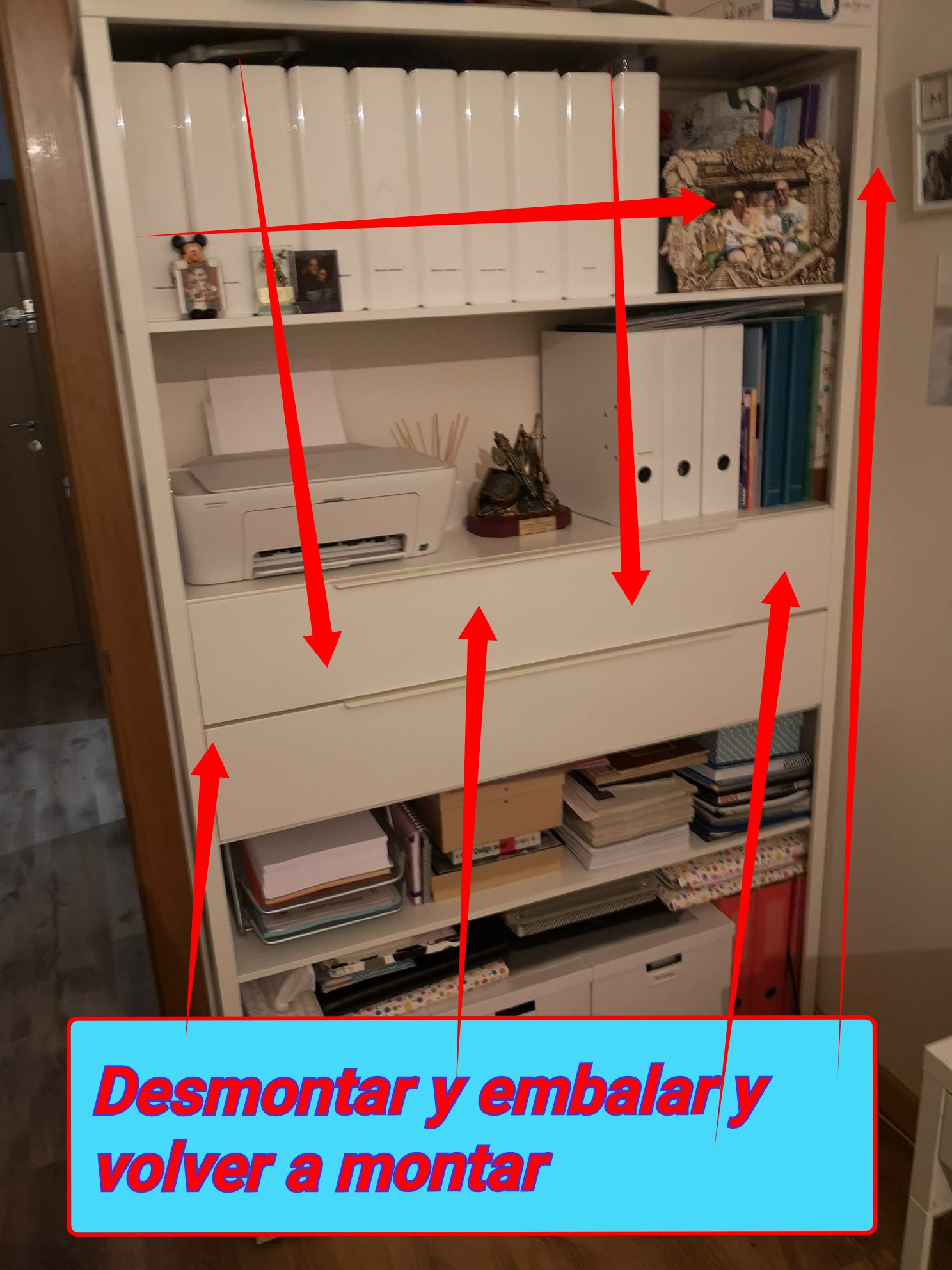 Descripción del artículo