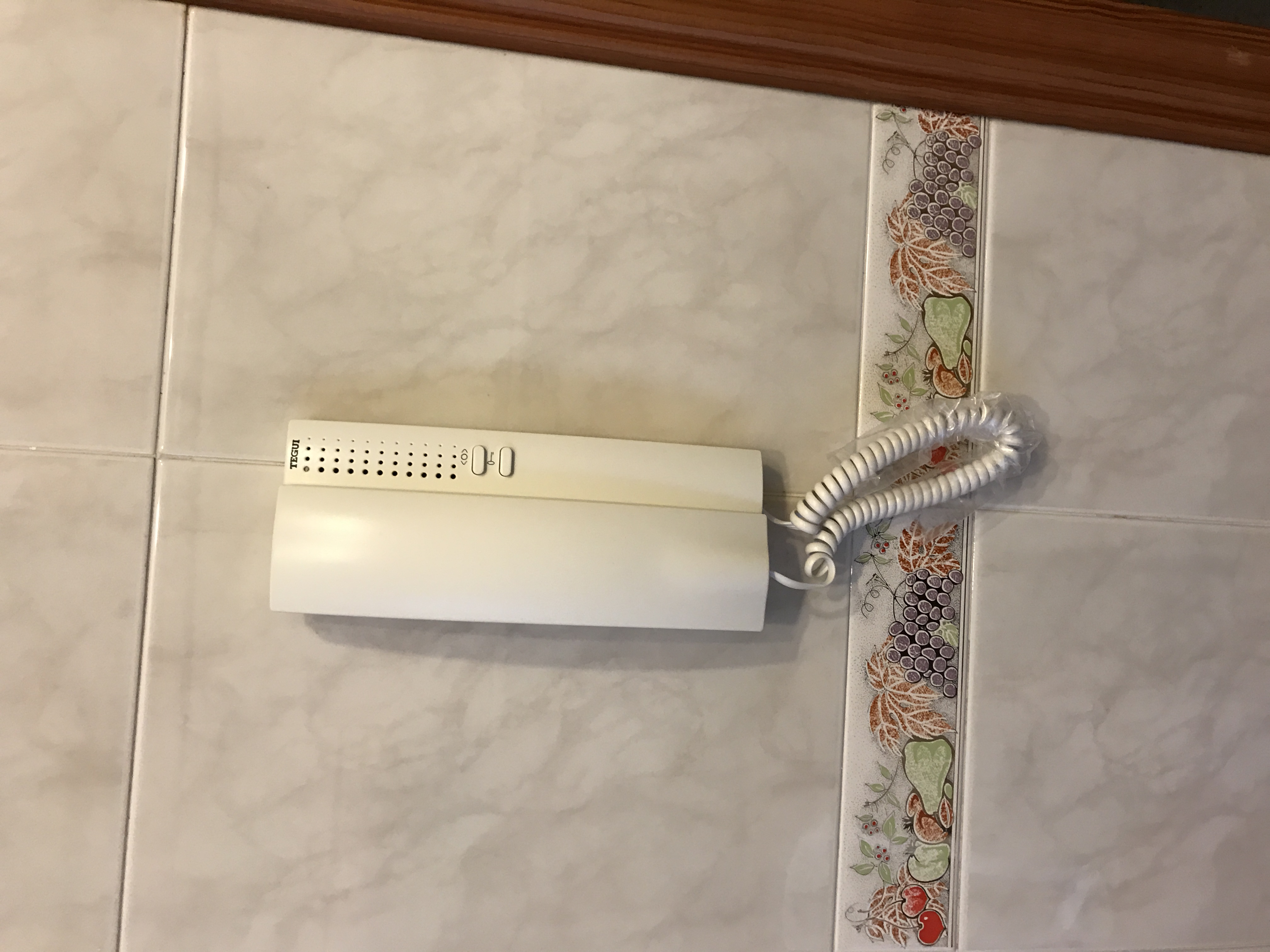 Nuevo Portero Eléctrico