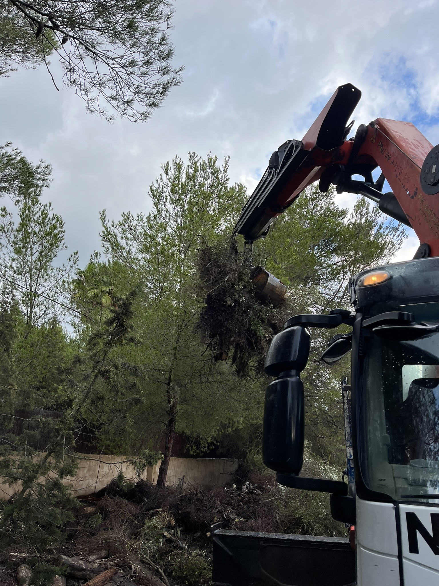Recogida de poda y camion grua