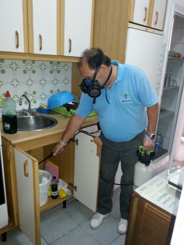 TRATAMIENTO DESINSECTACION