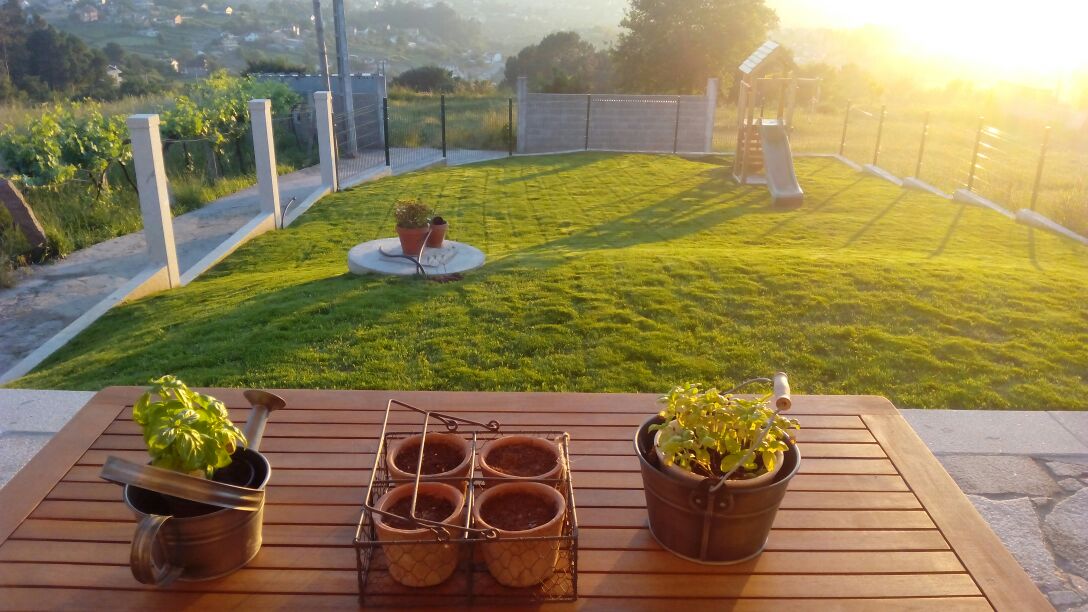 Vista de un cesped recien plantado tras un primer corte