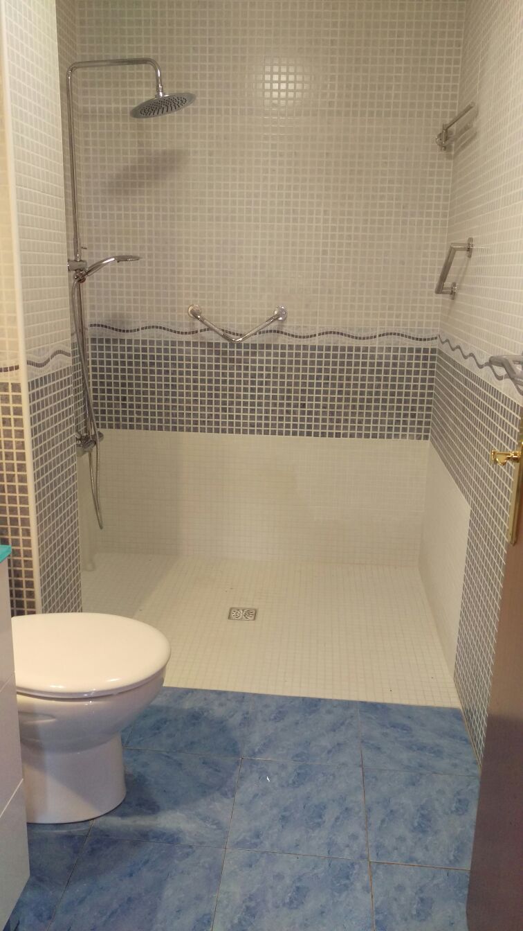 FORMACIÓN DE BAÑOS PARA MINUSVALIDOS