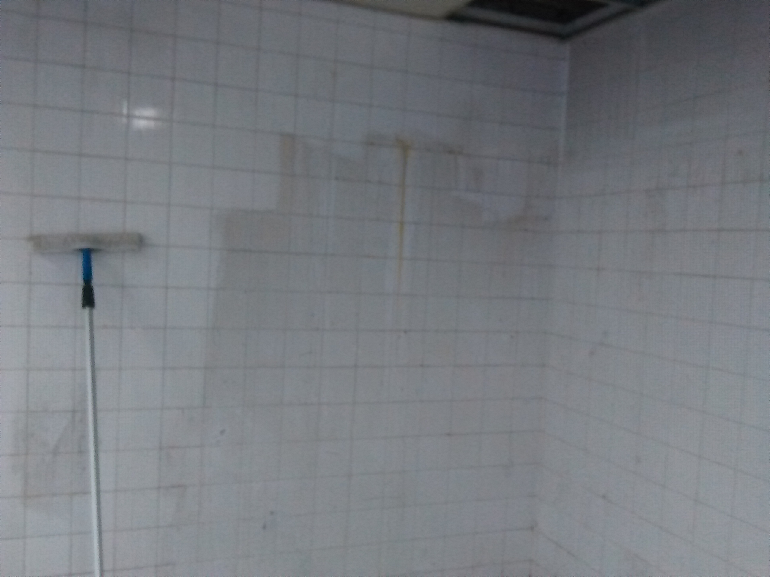 Limpieza de azulejos