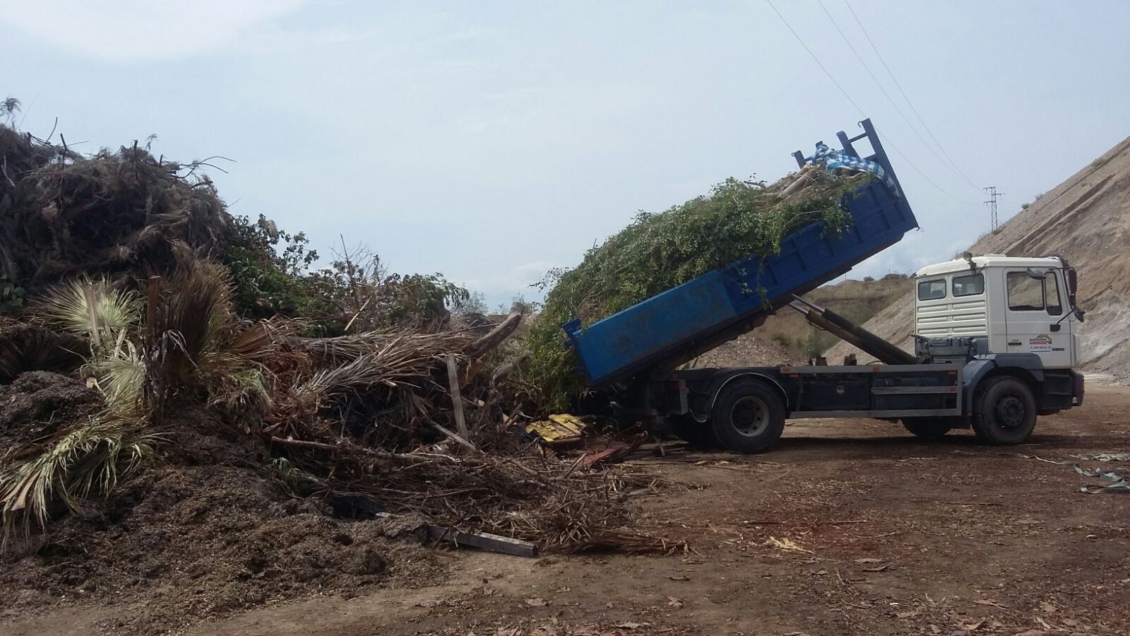 Retirada maleza a centro de reciclaje.