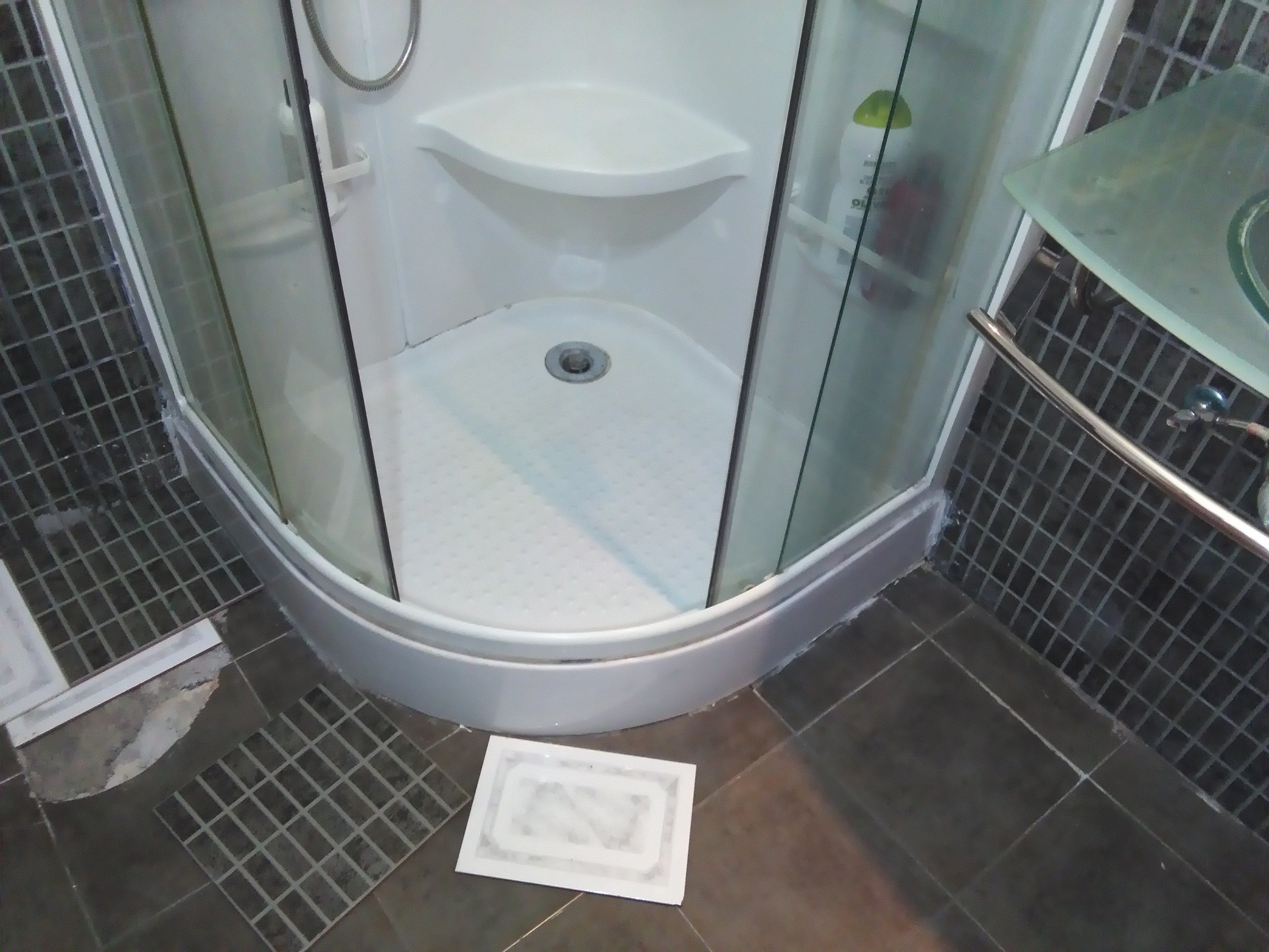 CAMBIO DE PALTO DE DUCHA