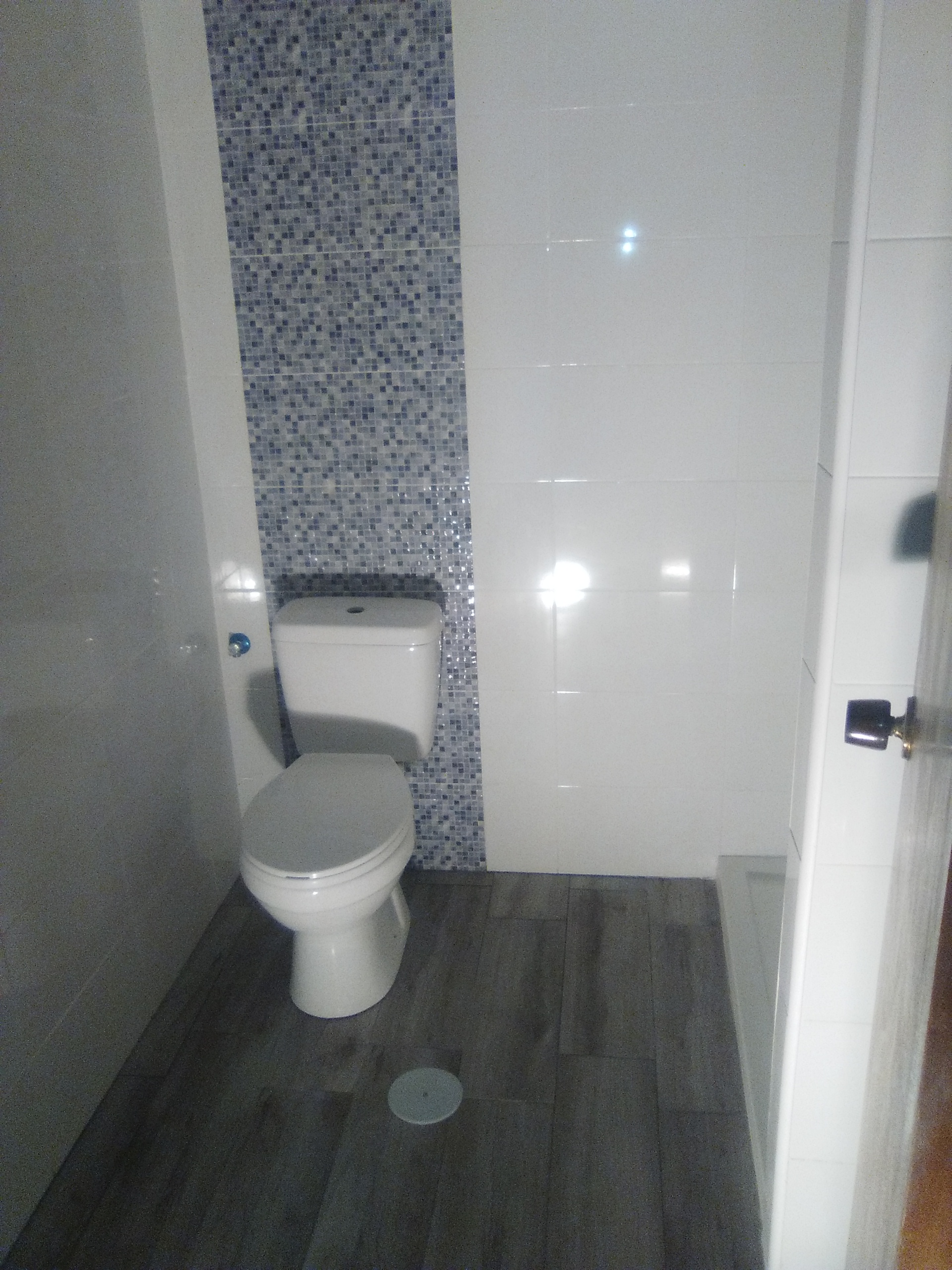 baño alicatado 