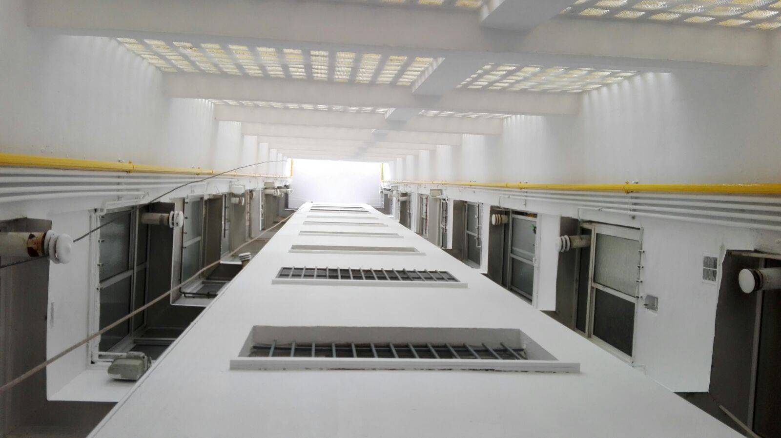 Pintado de ojo de patio