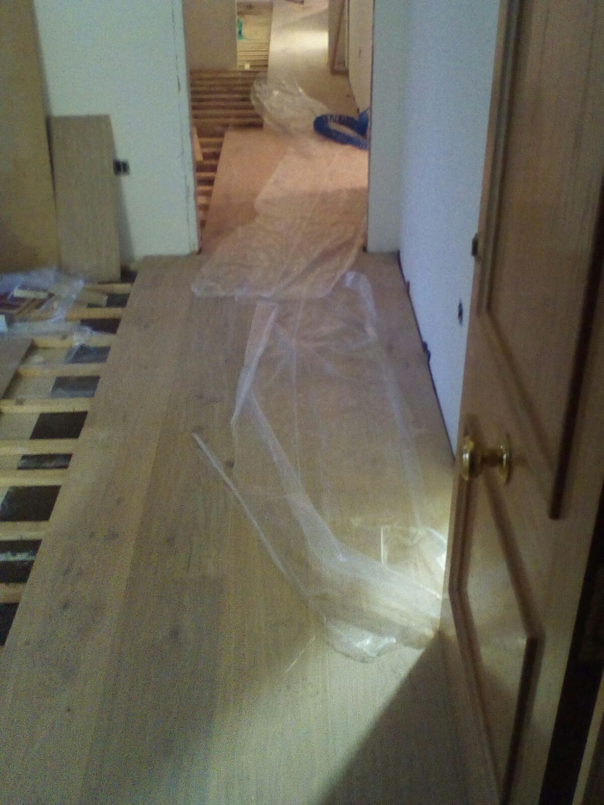 Tarima sobre rasteeles