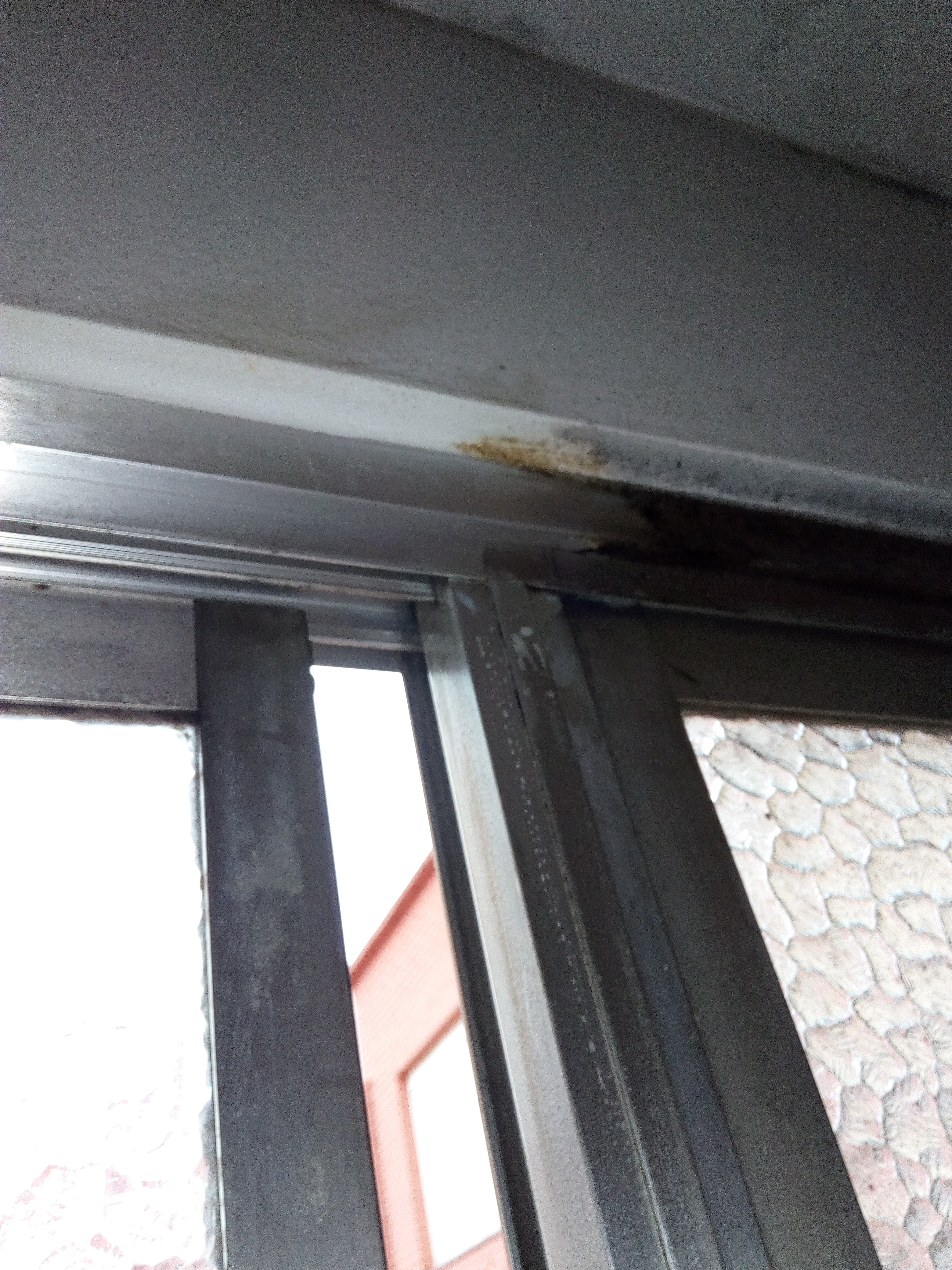 Limpieza de cristales de una galeria