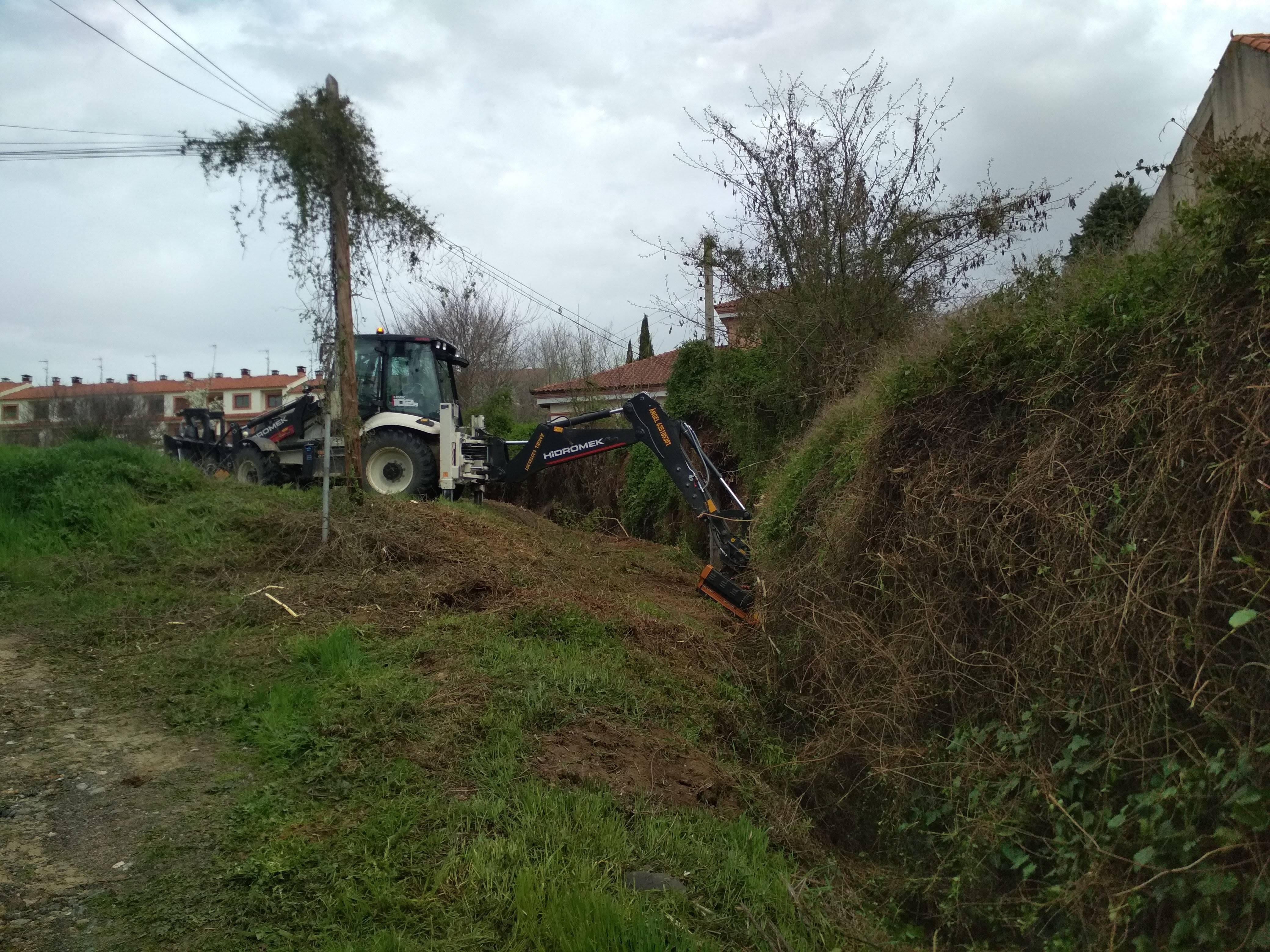 Limpieza de seto y bordes de pared