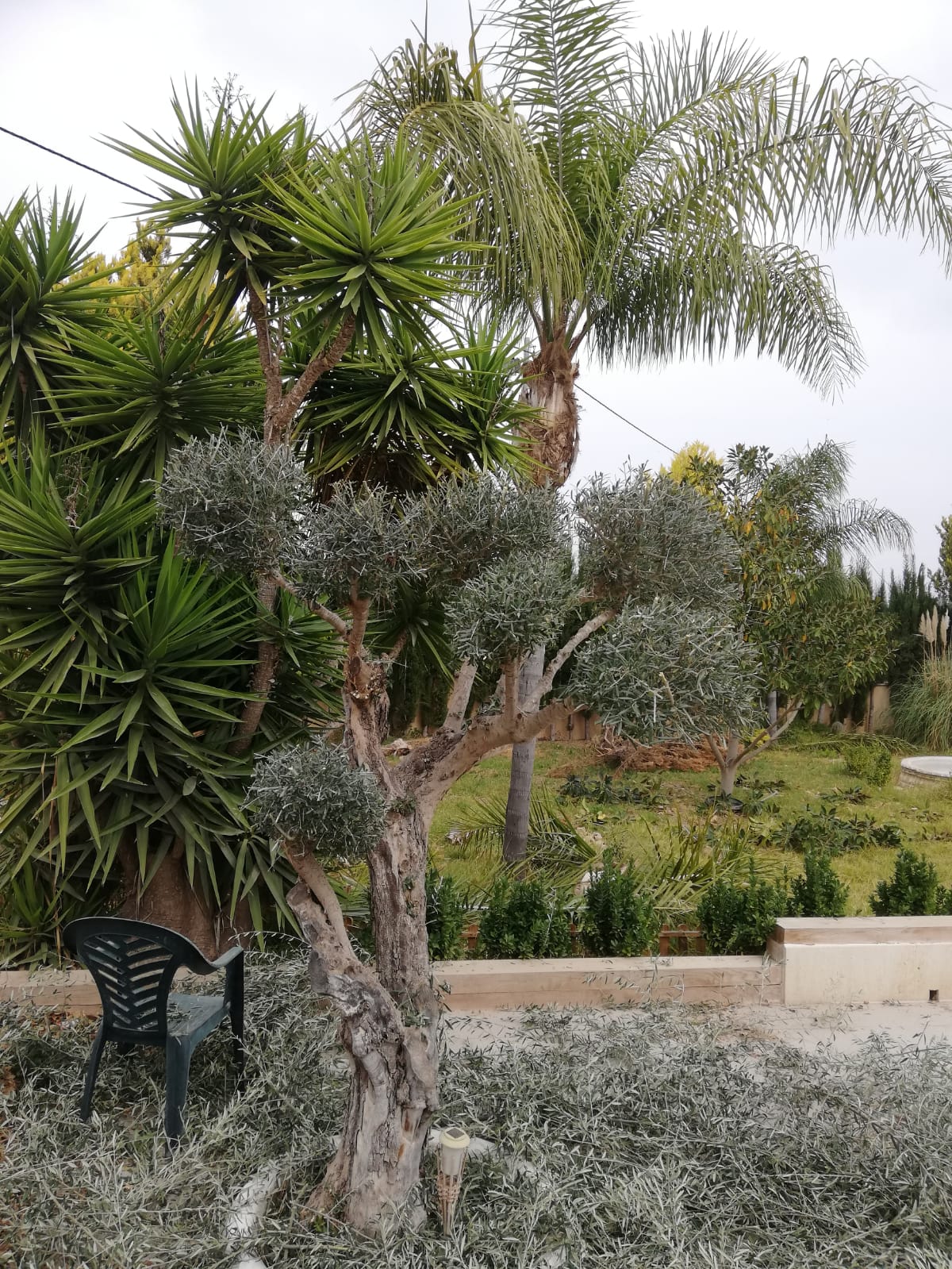 Acondicionamiento de parcelas ajardinadas