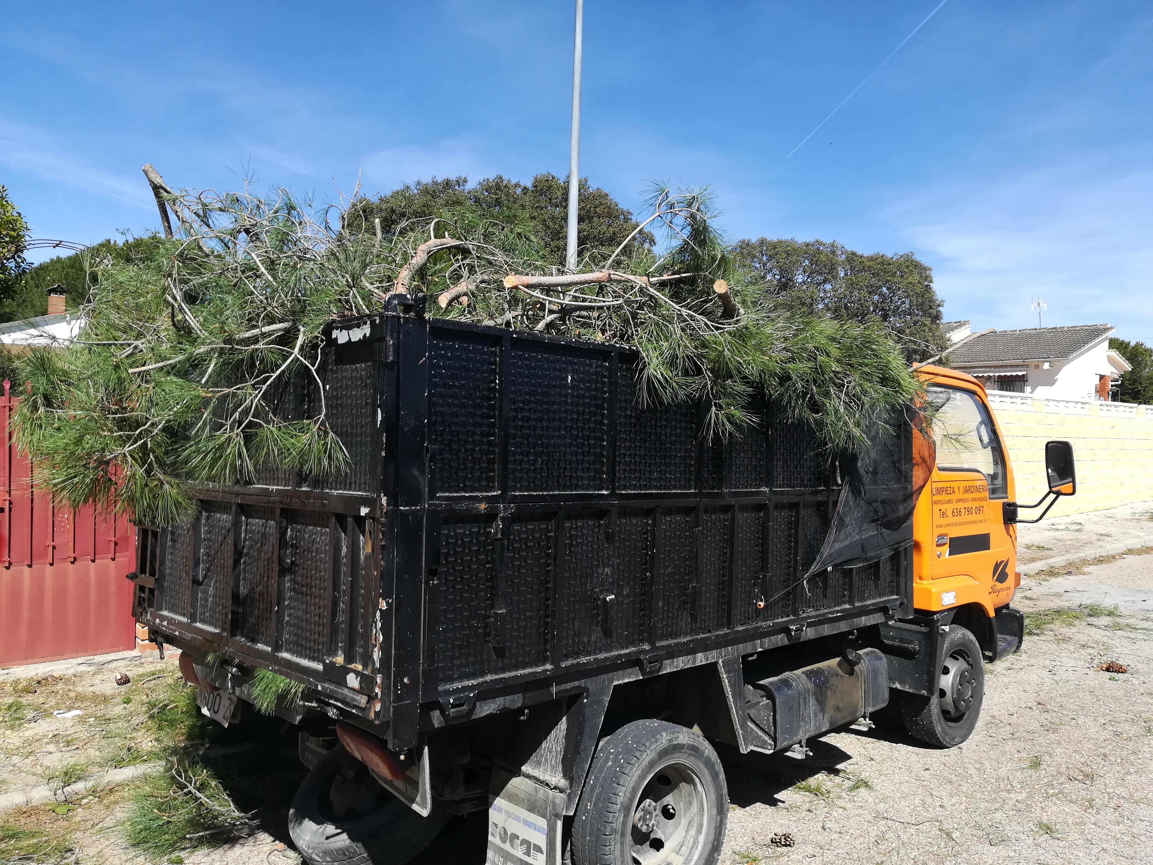Limpieza y jardinería Ragumo
