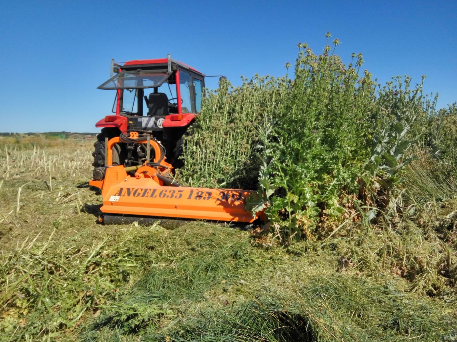 Desbrozadoras lateral