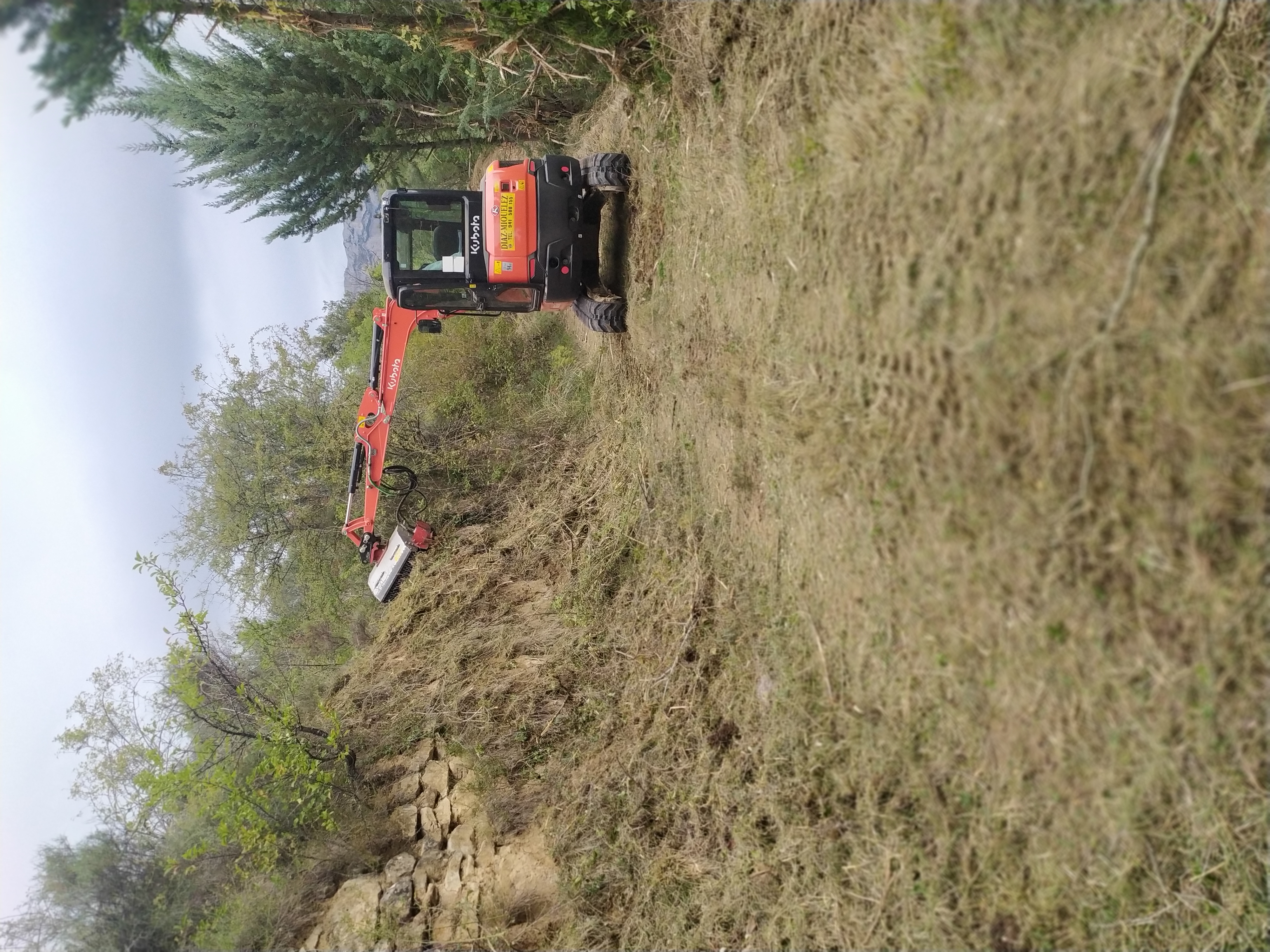 Desbroce con excavadora