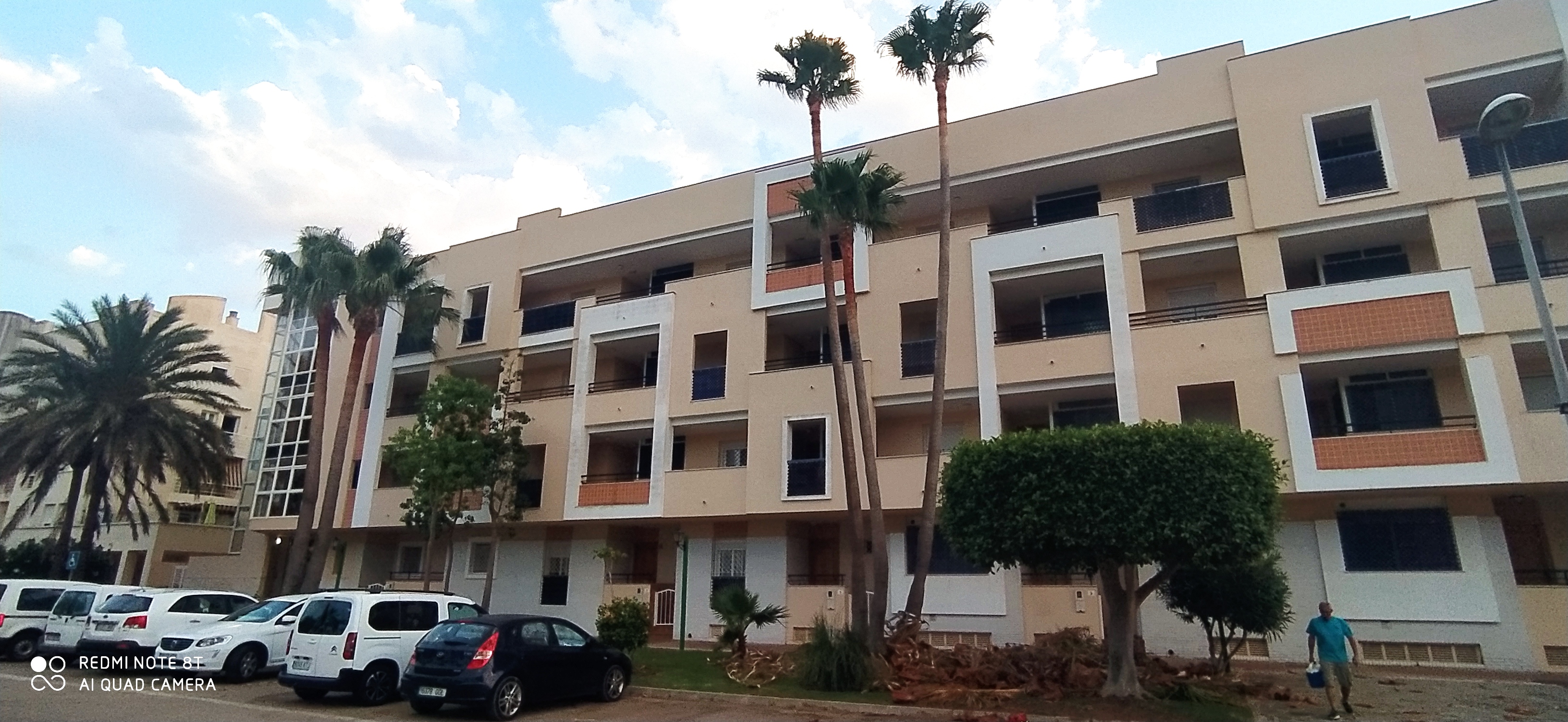 Poda de palmeras washingtonias de gran altura