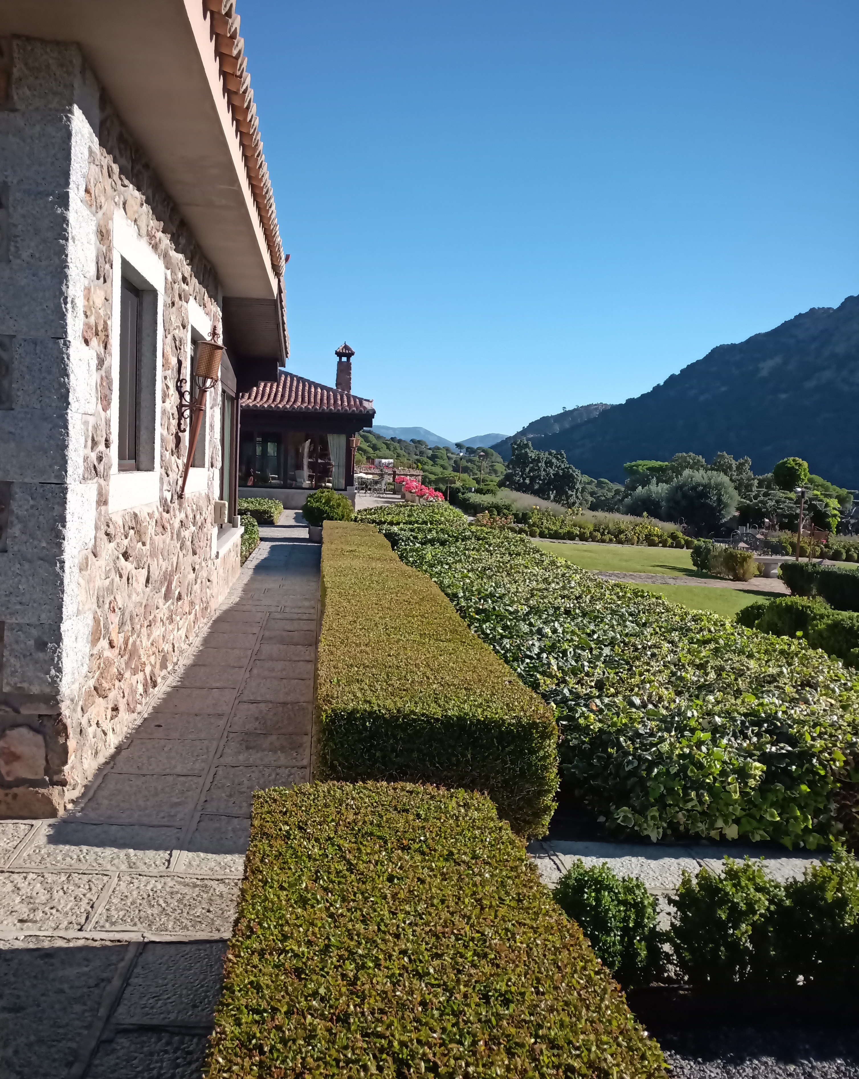 Jardinería y multiservicios s.l