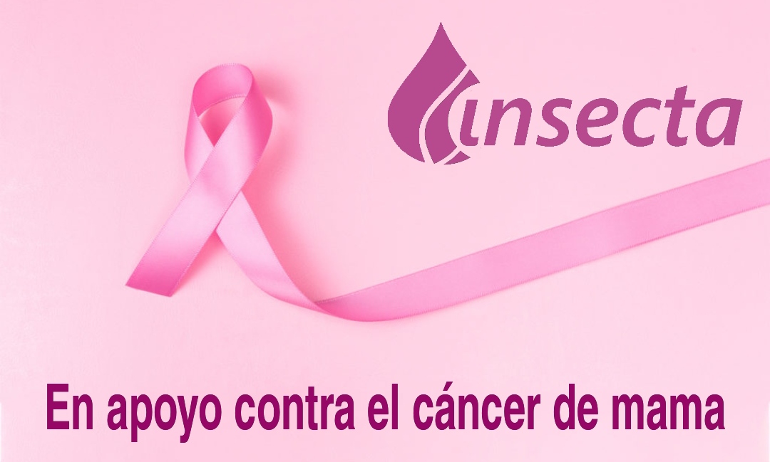 Apoyando al cáncer de mama