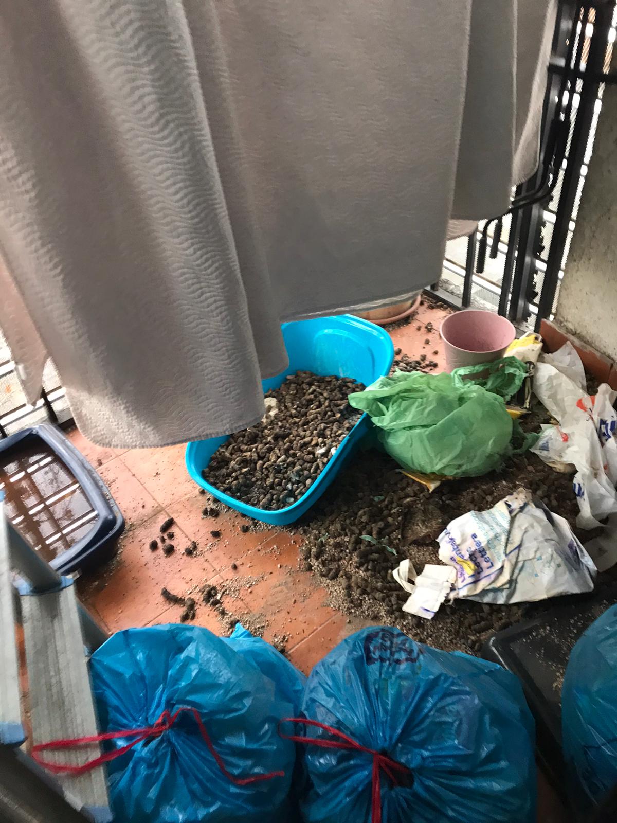 Síndrome de Diógenes.