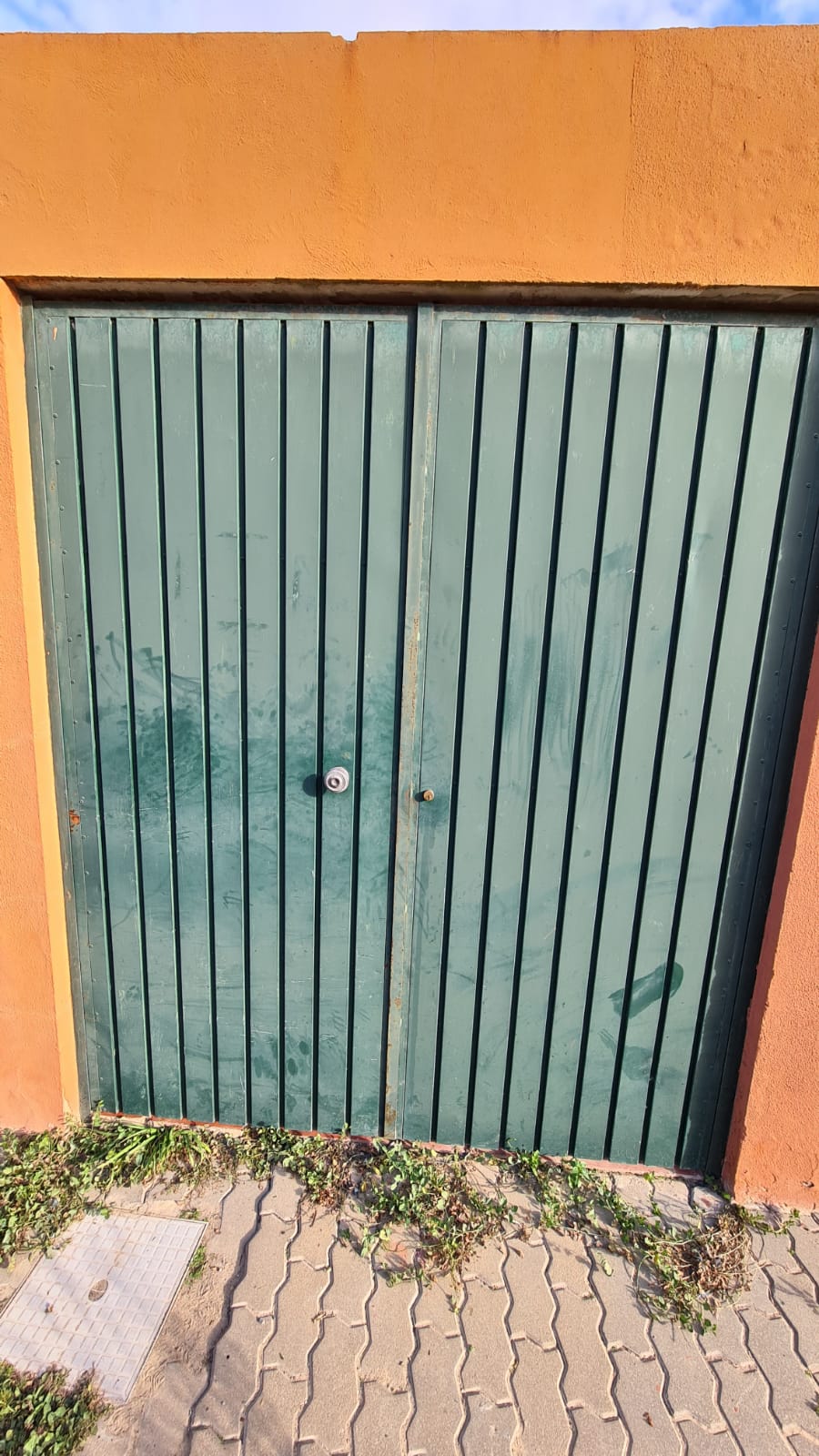 Pintura de puertas de garaje