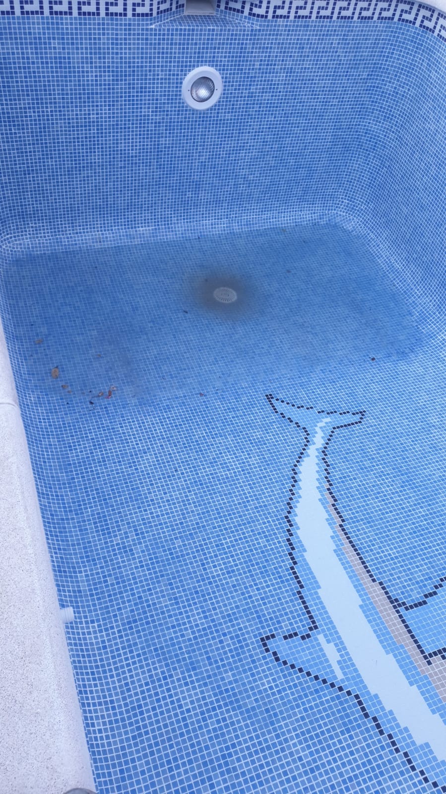 Increíbles piscinas