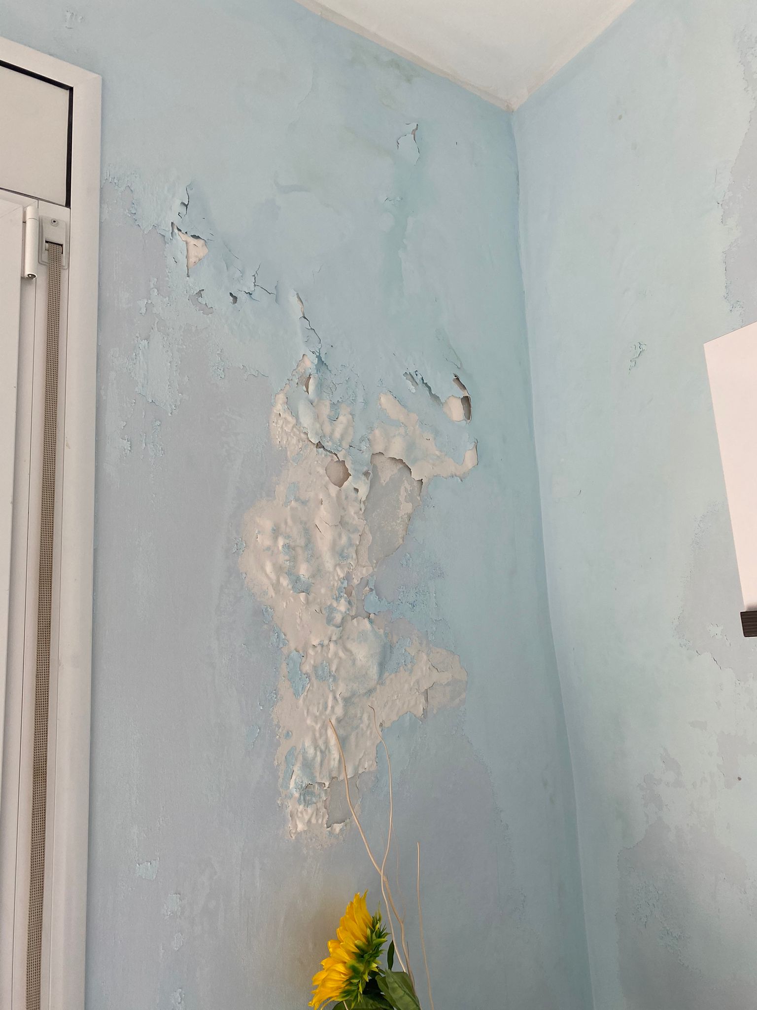 Reparación de humedades