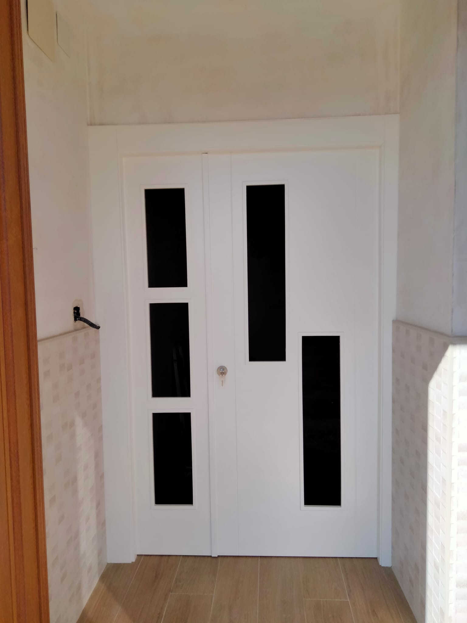 Puerta cristalera para entrada