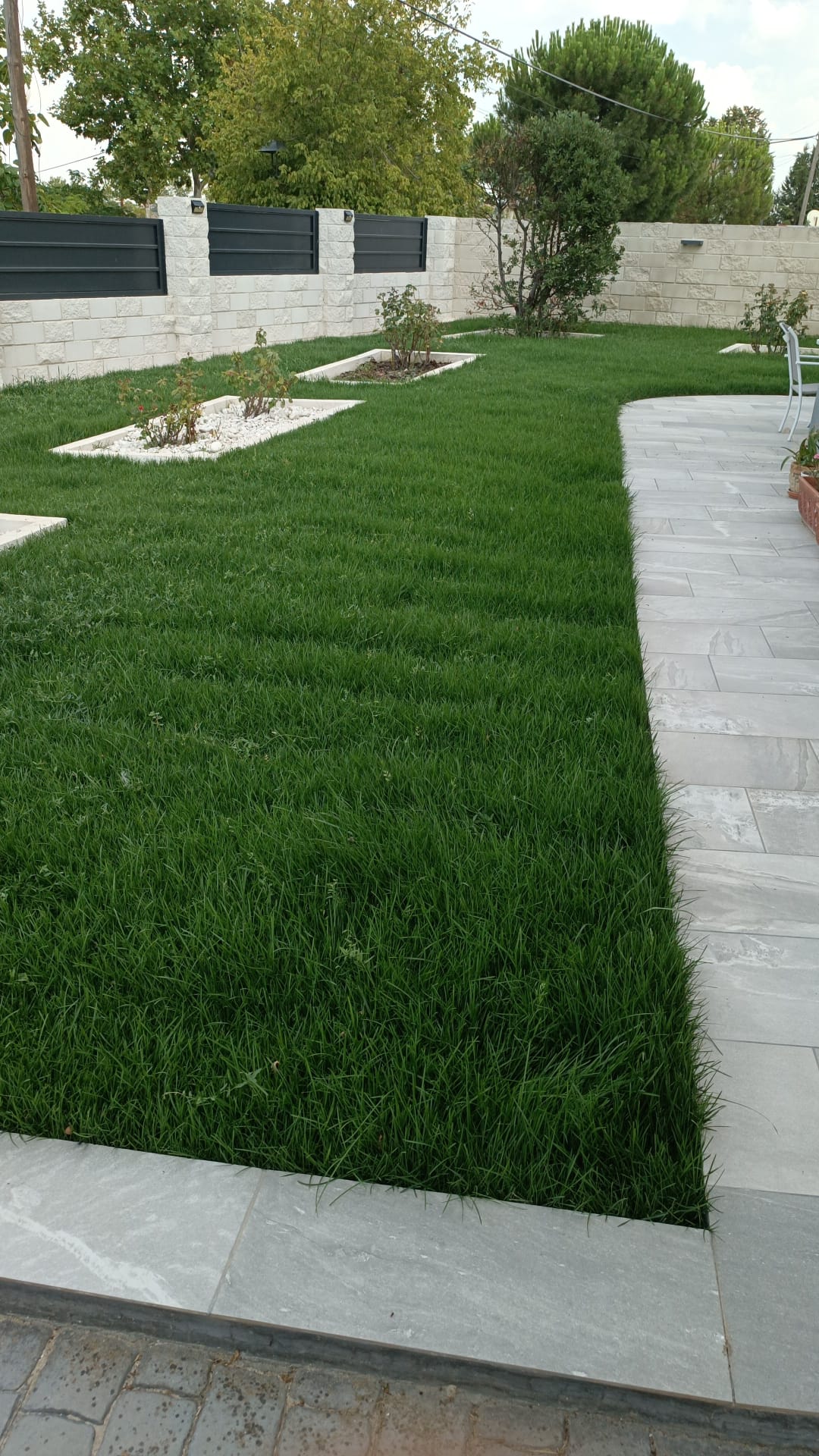 Instalación de césped