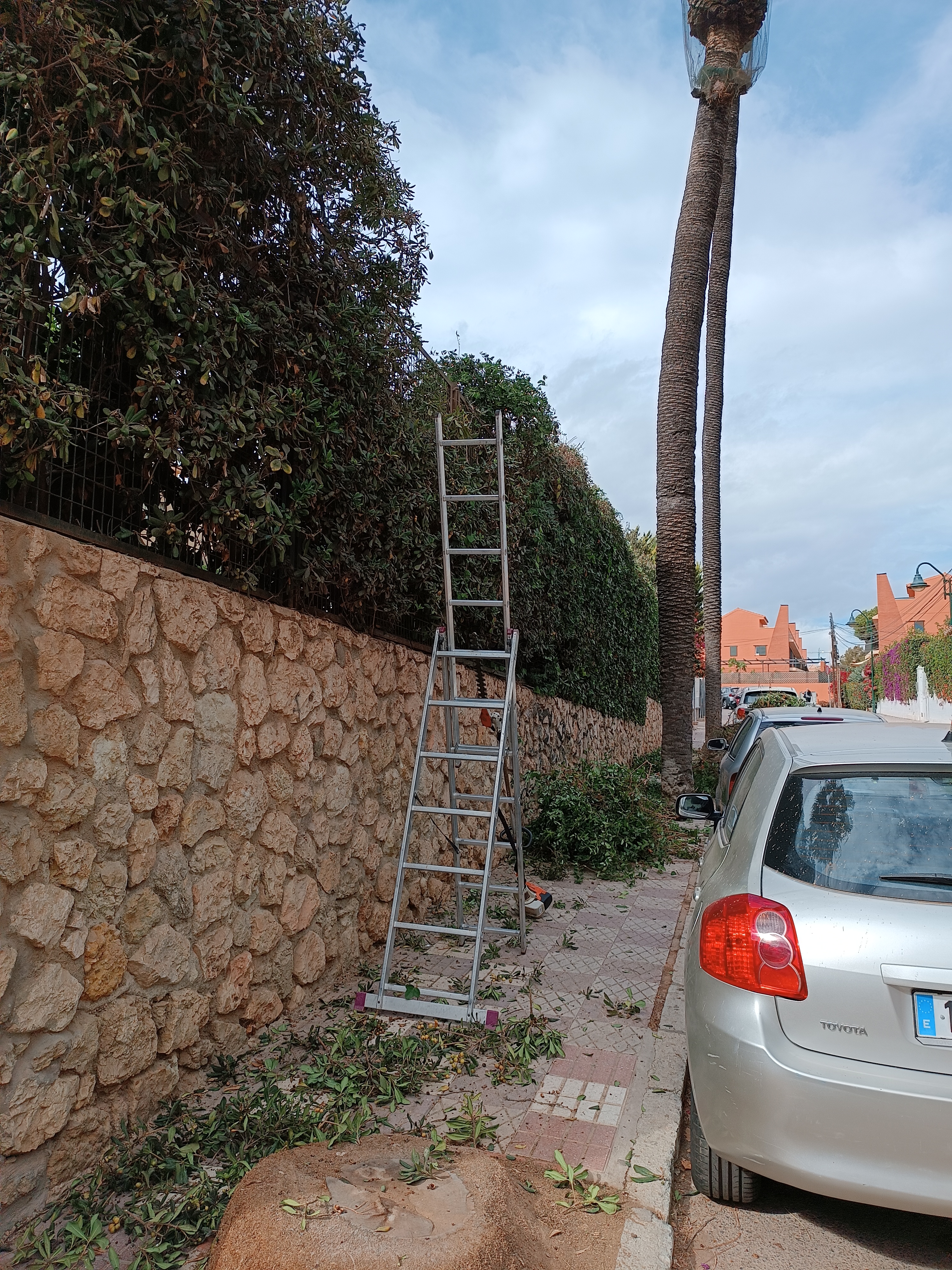 Poda de setos en altura