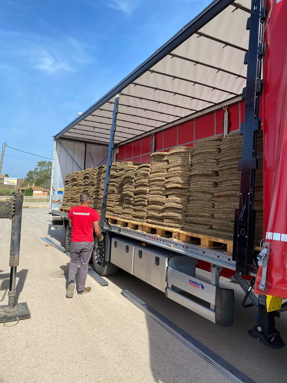 Instalación de césped natural por tepes