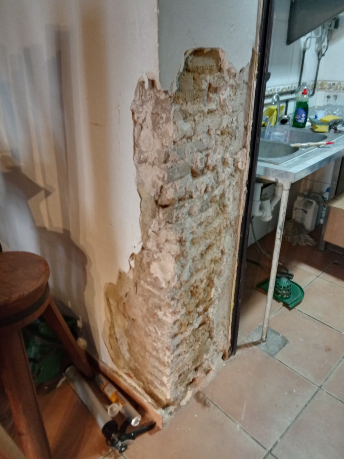 RESTAURACIÓN BAR EN EL BOTANIC