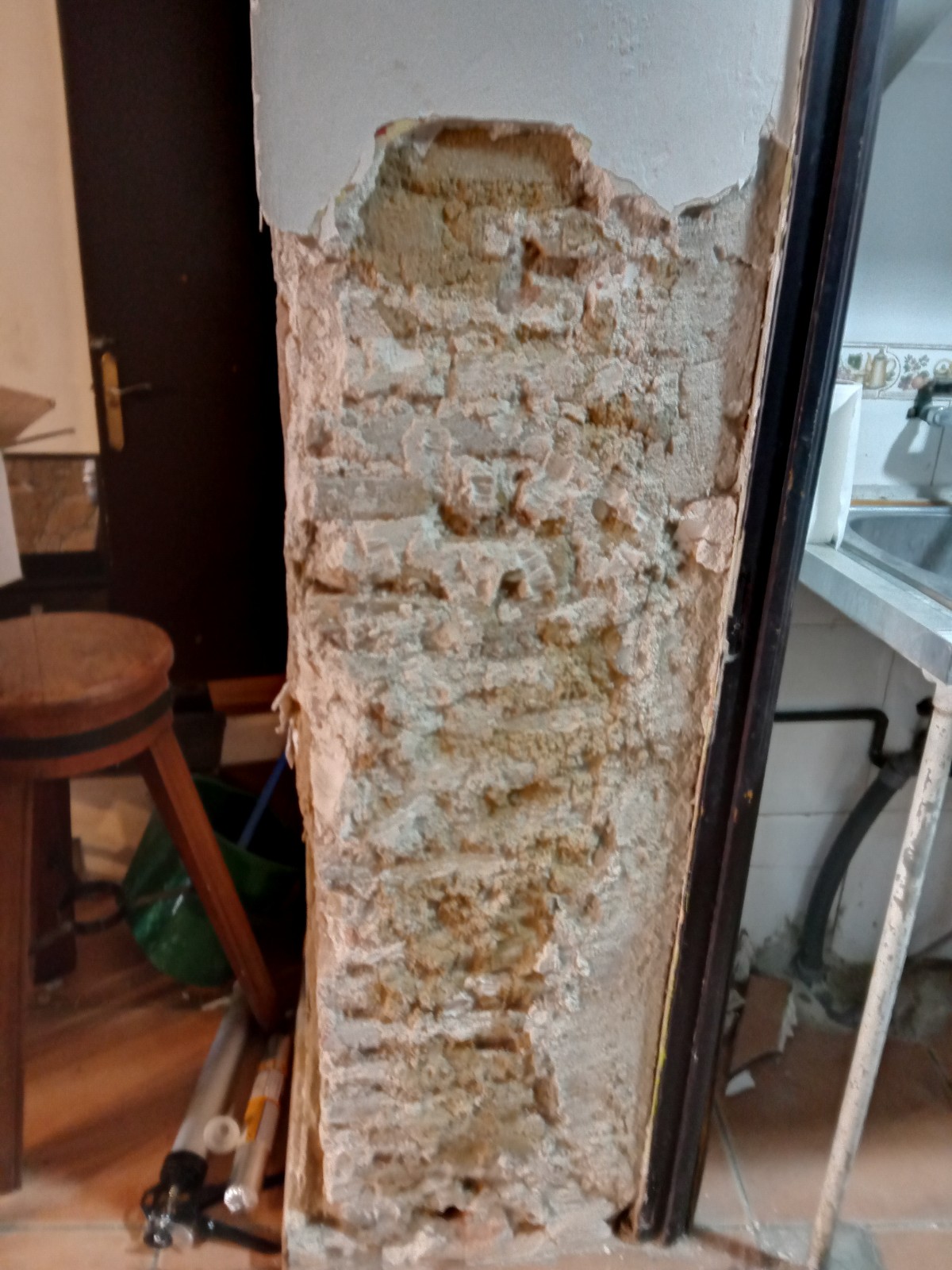 RESTAURACIÓN BAR EN EL BOTANIC