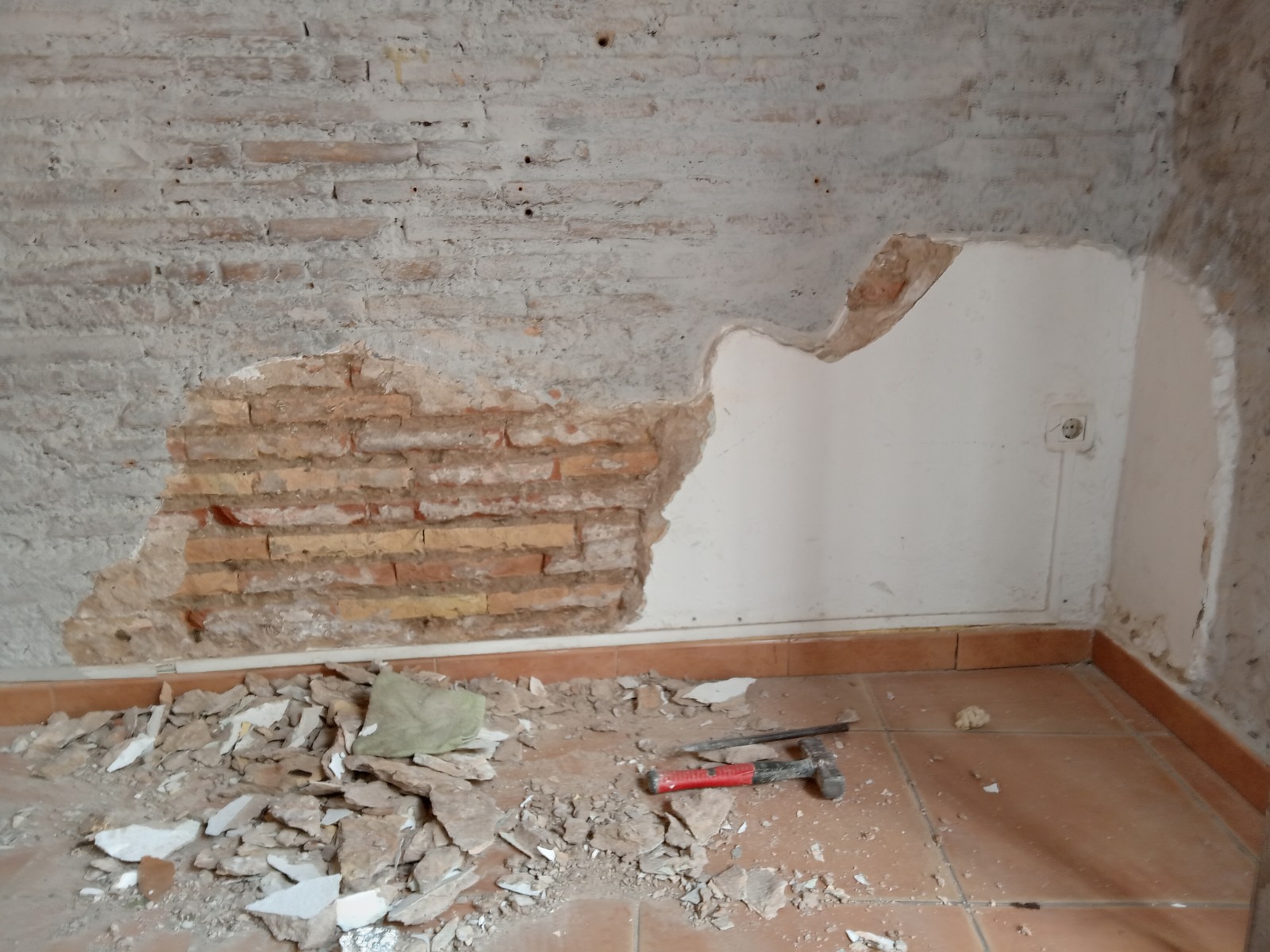 RESTAURACIÓN BAR EN EL BOTANIC