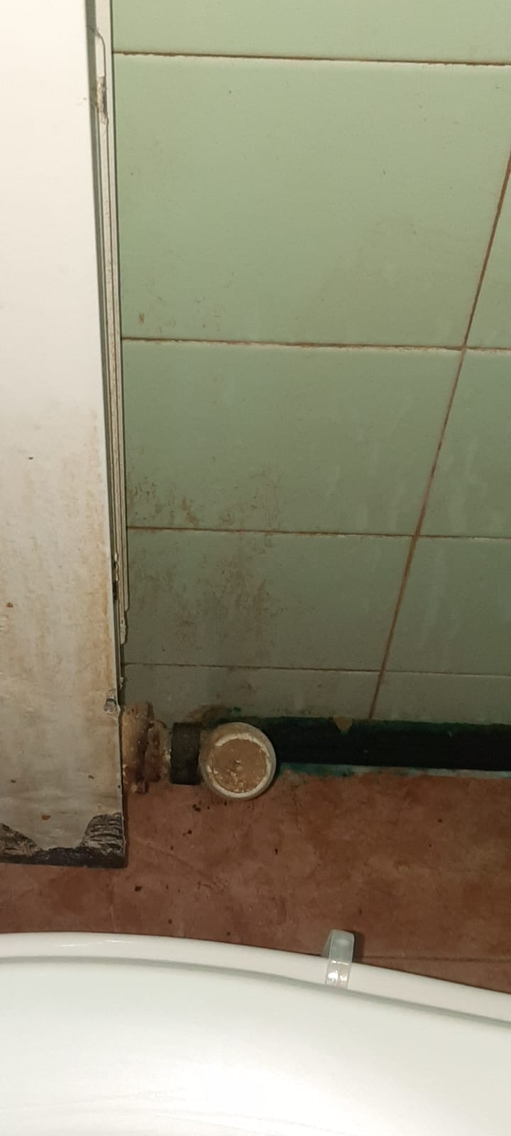 Limpieza baño (antes)