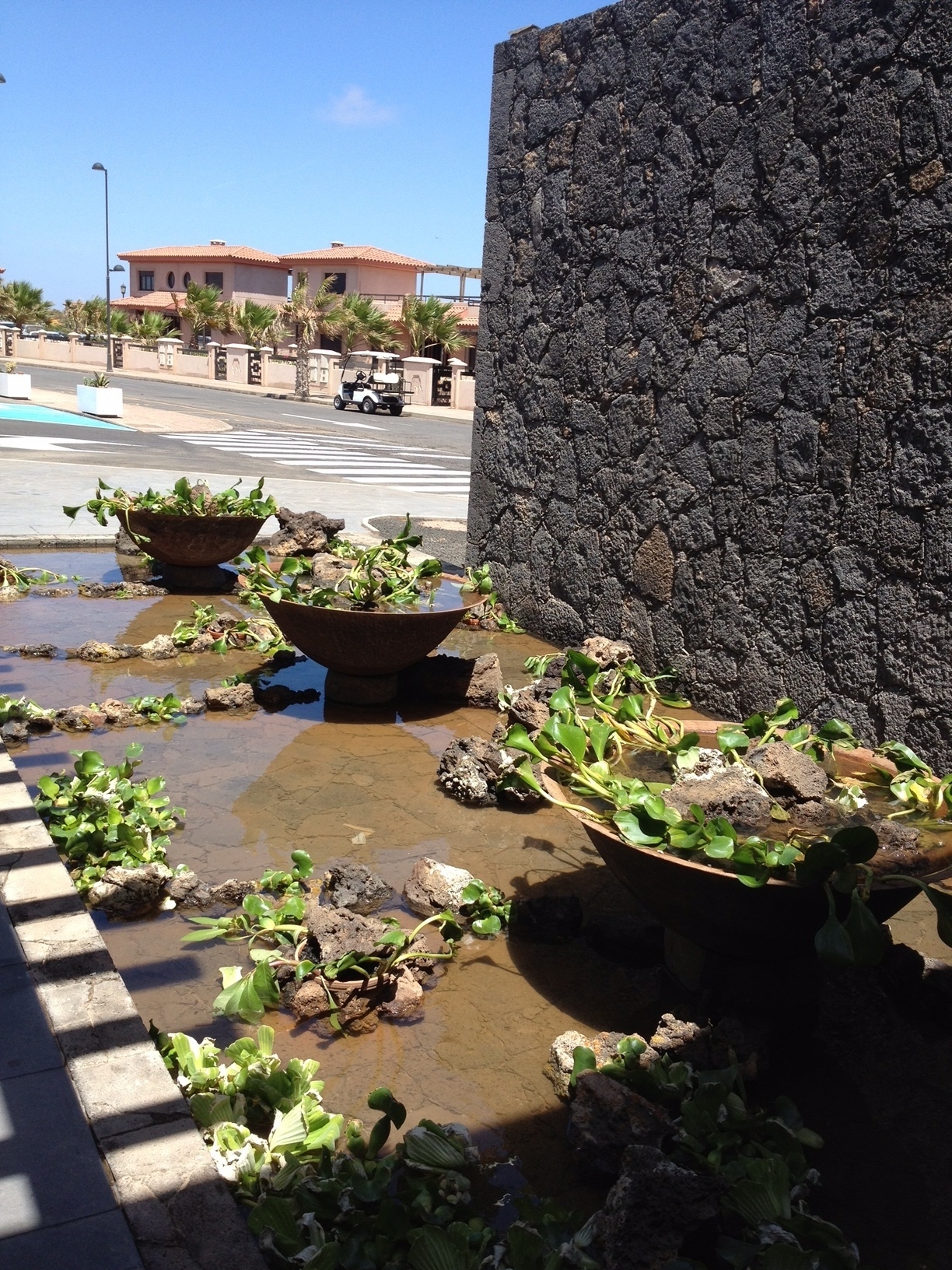 Estanque Recepcion Hotel