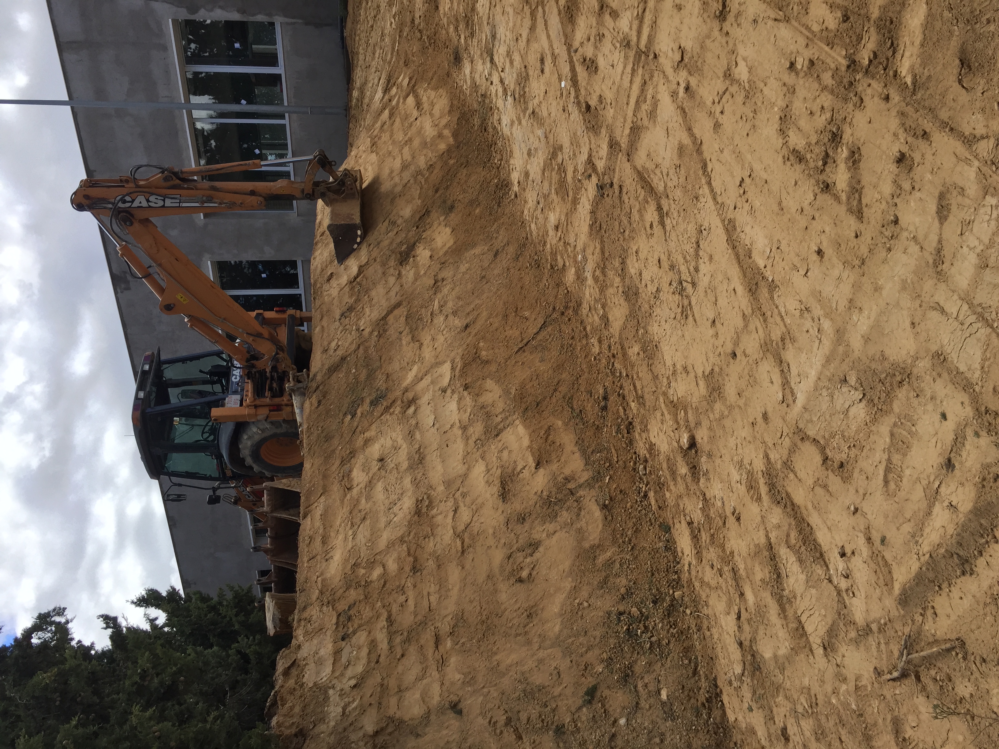 Acondicionamiento de jardin en Batea