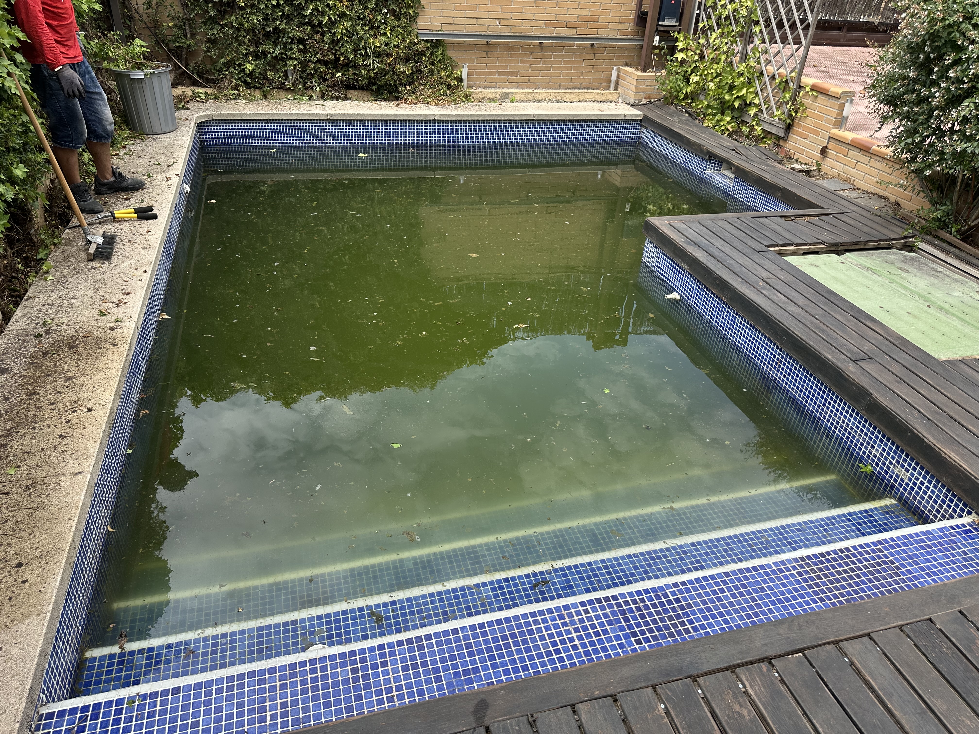 Picina sucia y playa restaurada