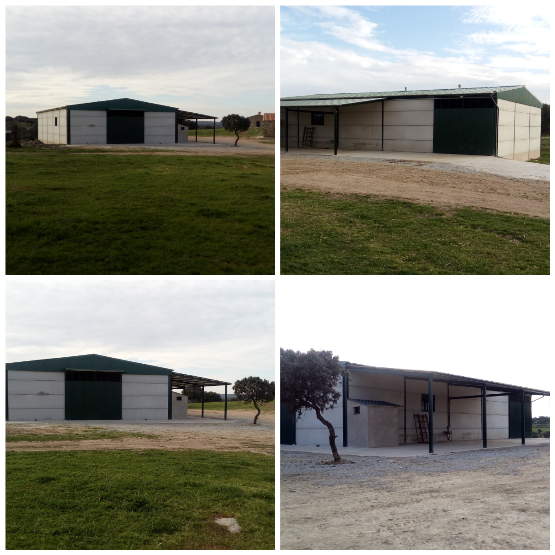 REALIZACIÓN DE NAVE AGROGANADERA