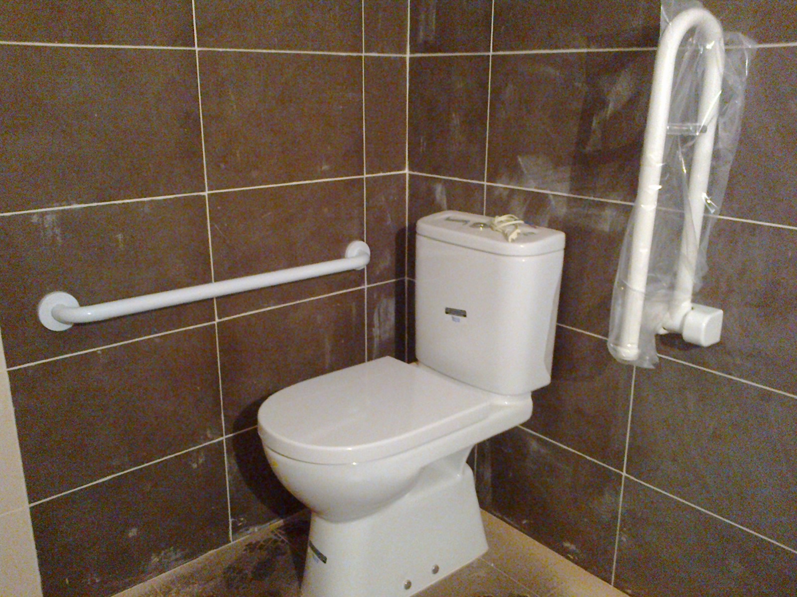 Inodoro de minusválidos.