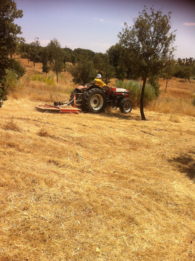 Desbroces con tractor