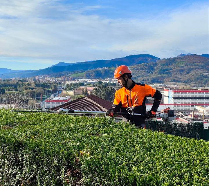 Corte y perfilado de setos
