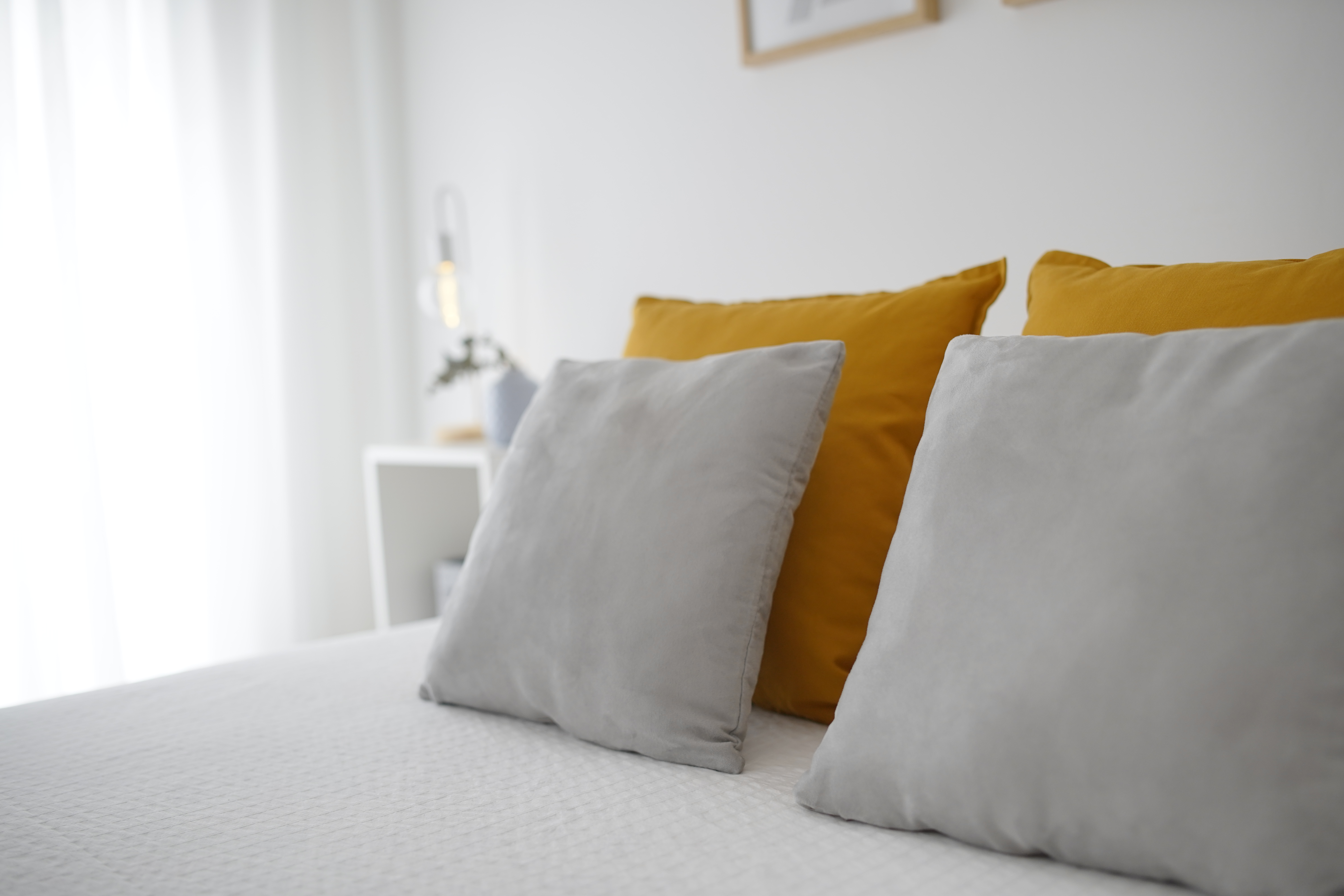 Proyecto Santa Elena