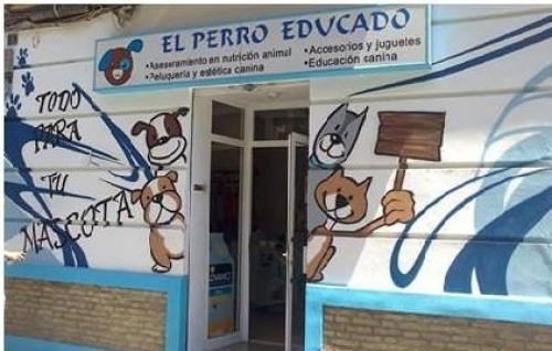 Licencia Actividad Valencia