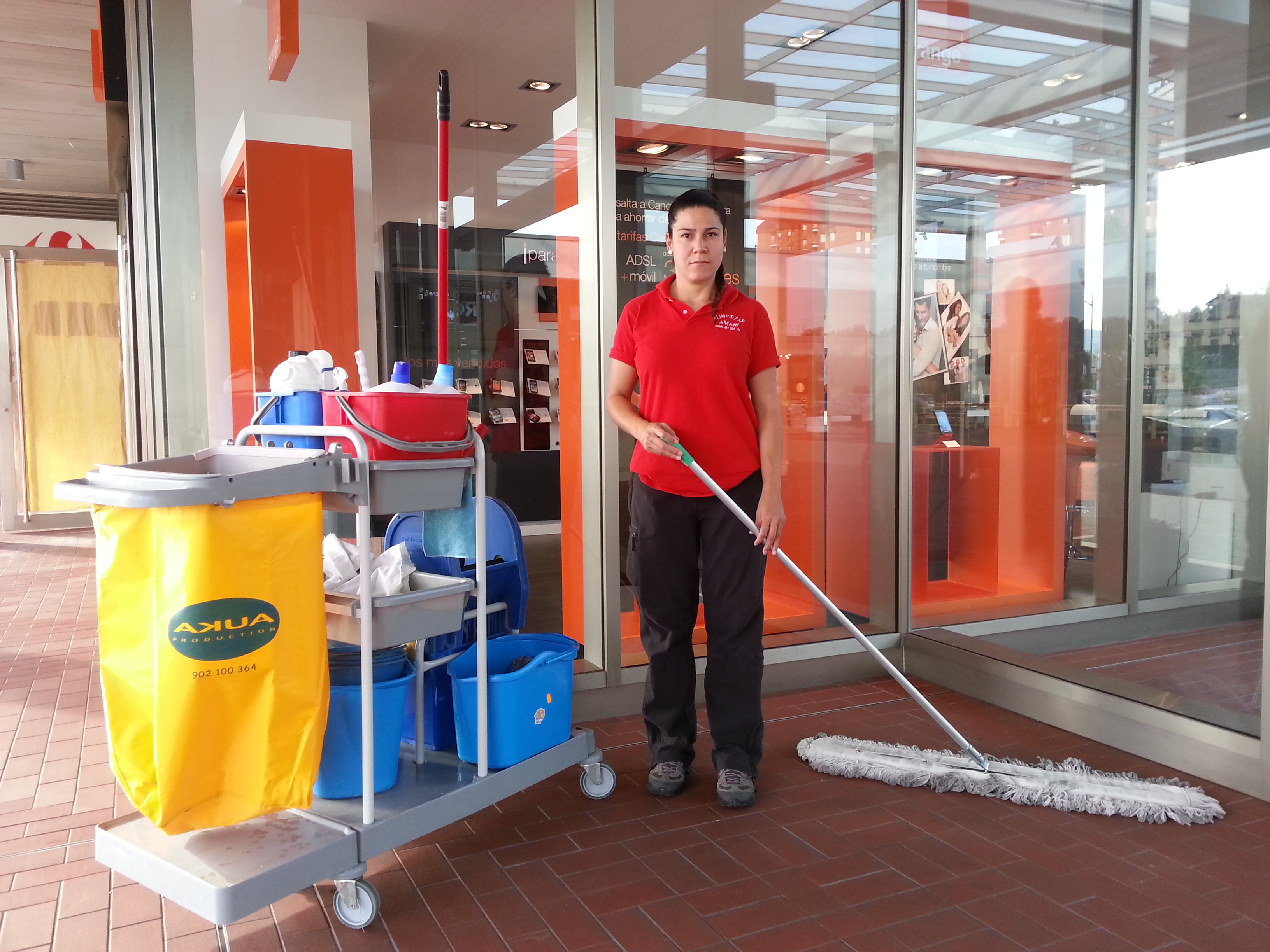 LIMPIEZA MANTENIMIENTO DE OFICINAS Y LOCALES