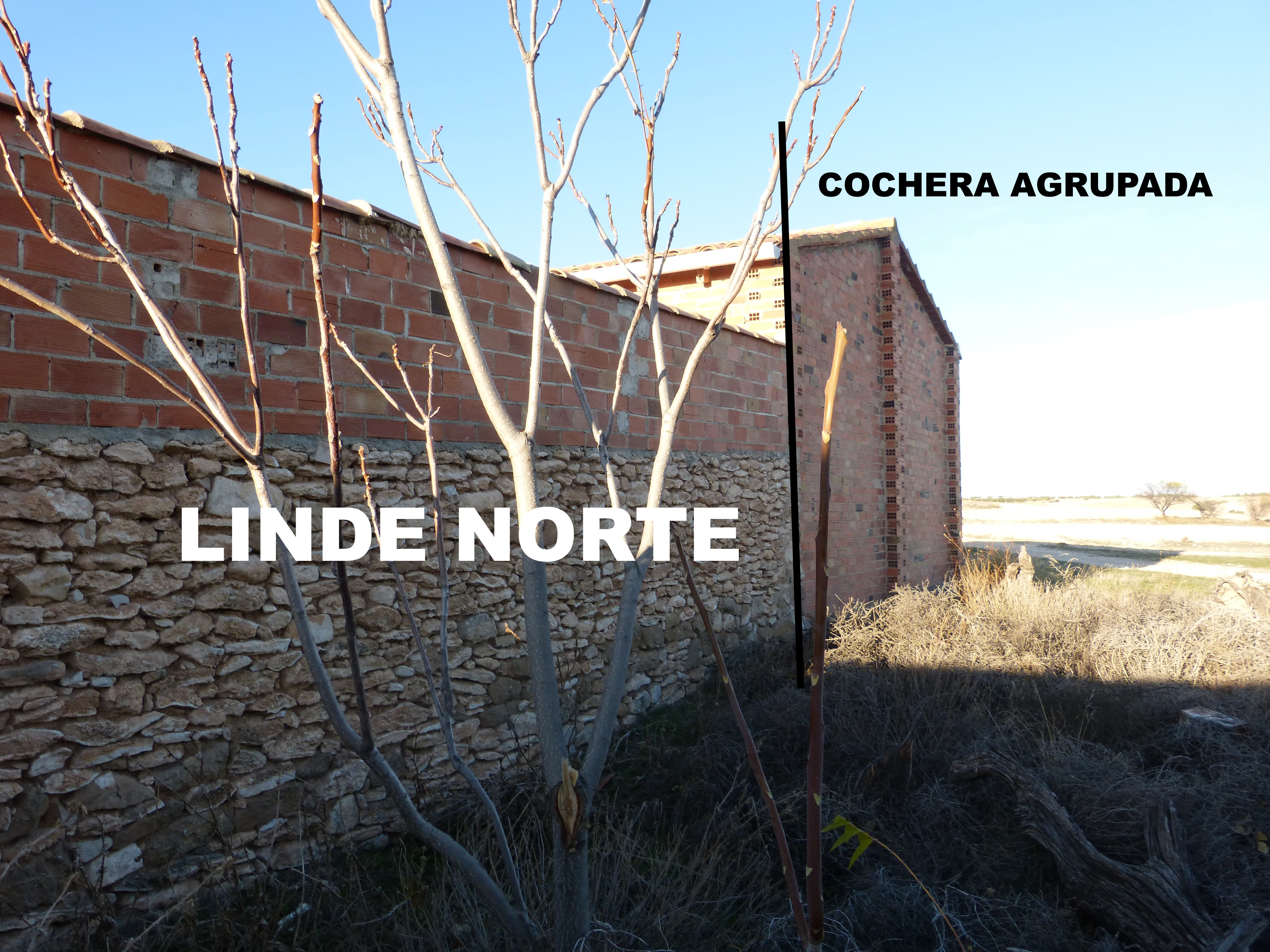 Agrupación de parcelas