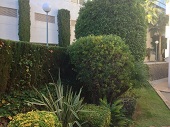 MANTENIMIENTO DE JARDÍN