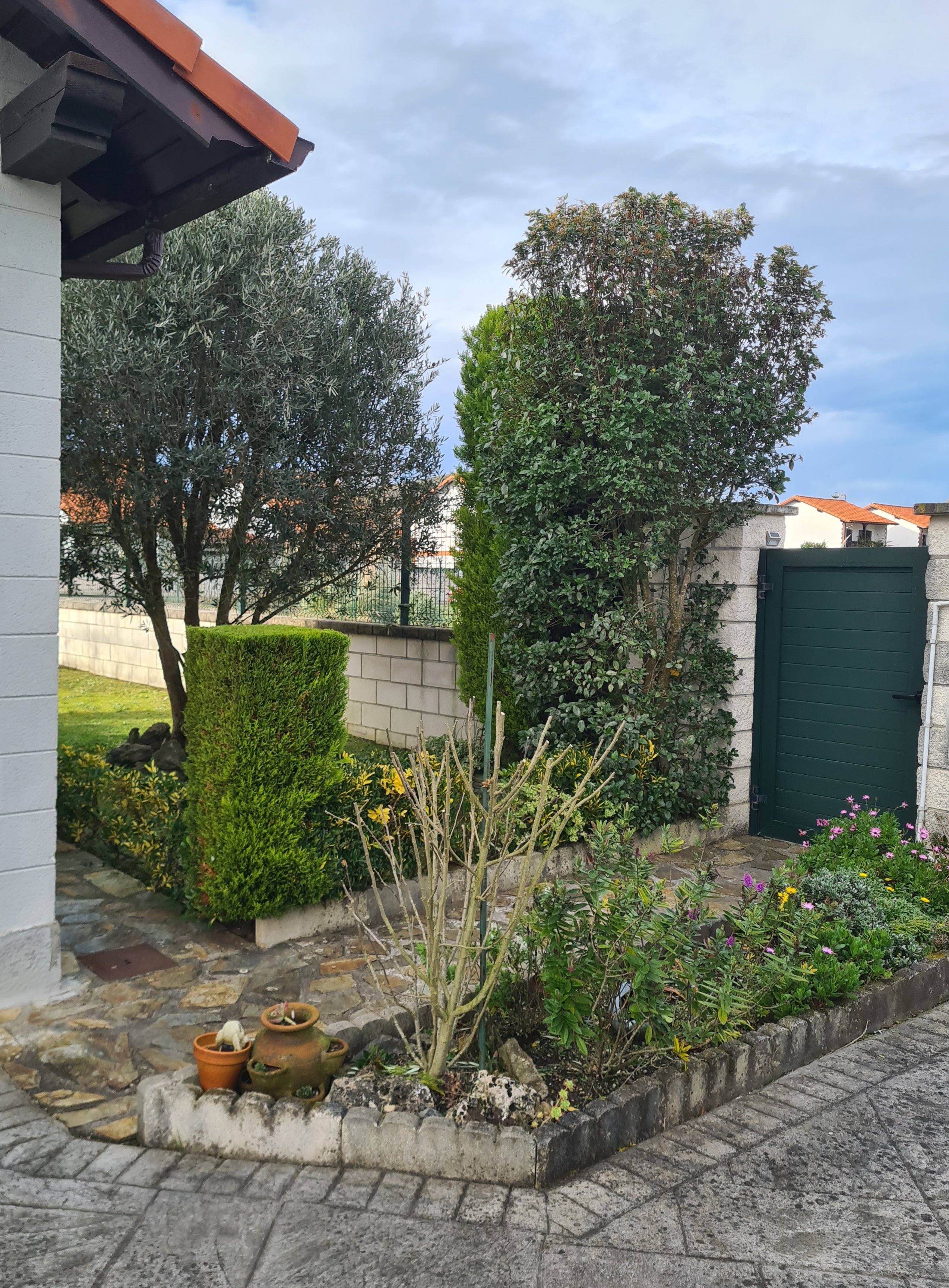 Diseño, mantenimientos de espacios verdes