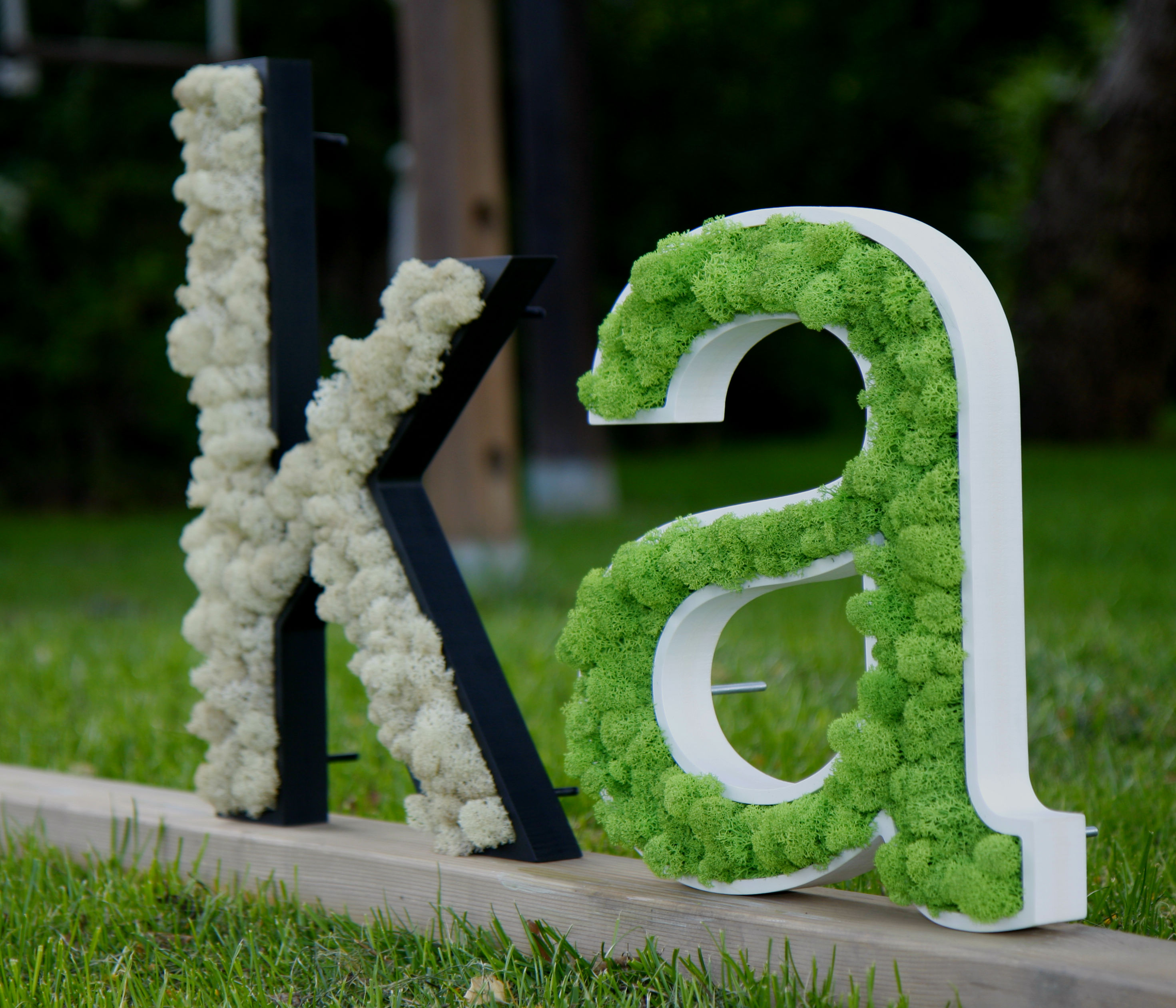 rotulo en planta preservada